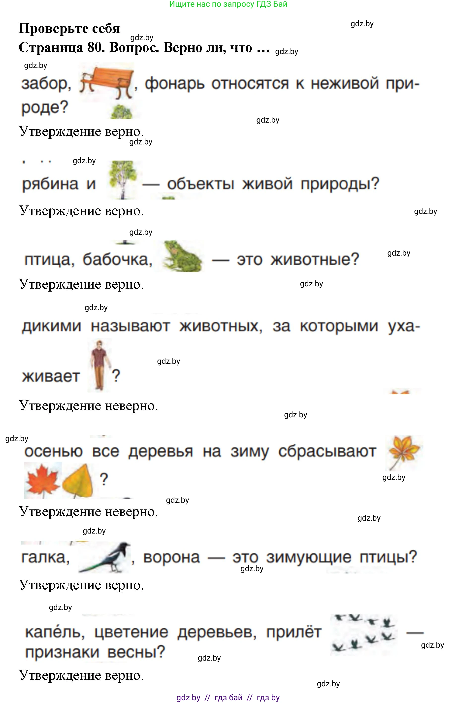 Человек и мир, 1 класс Учебник, авторы: Трафимова Галина Владимировна, Трафимов Сергей Анатольевич, издательство Национальный институт образования, Минск, 2023, салатового цвета, страница 80, Решение