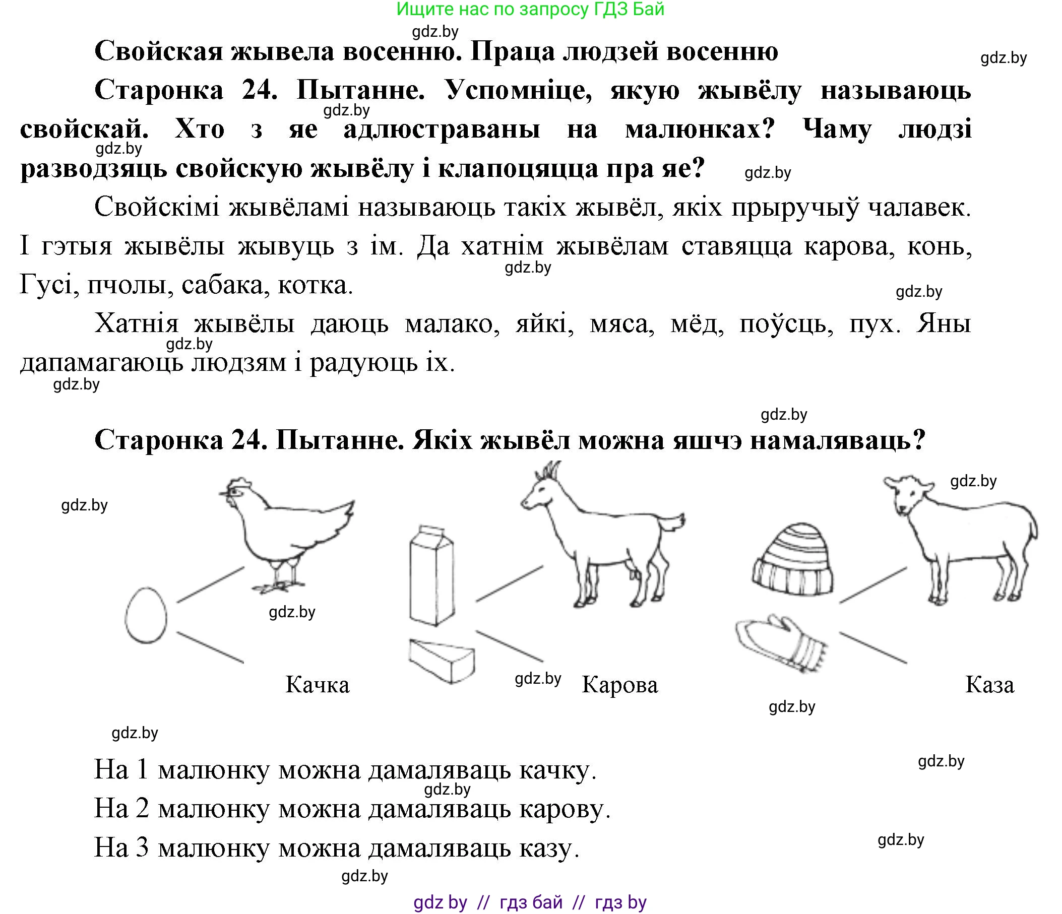Человек и мир, 1 класс Учебник, авторы: Трафимова Галина Владимировна, Трафимов Сергей Анатольевич, издательство Национальный институт образования, Минск, 2023, салатового цвета, страница 24, Решение