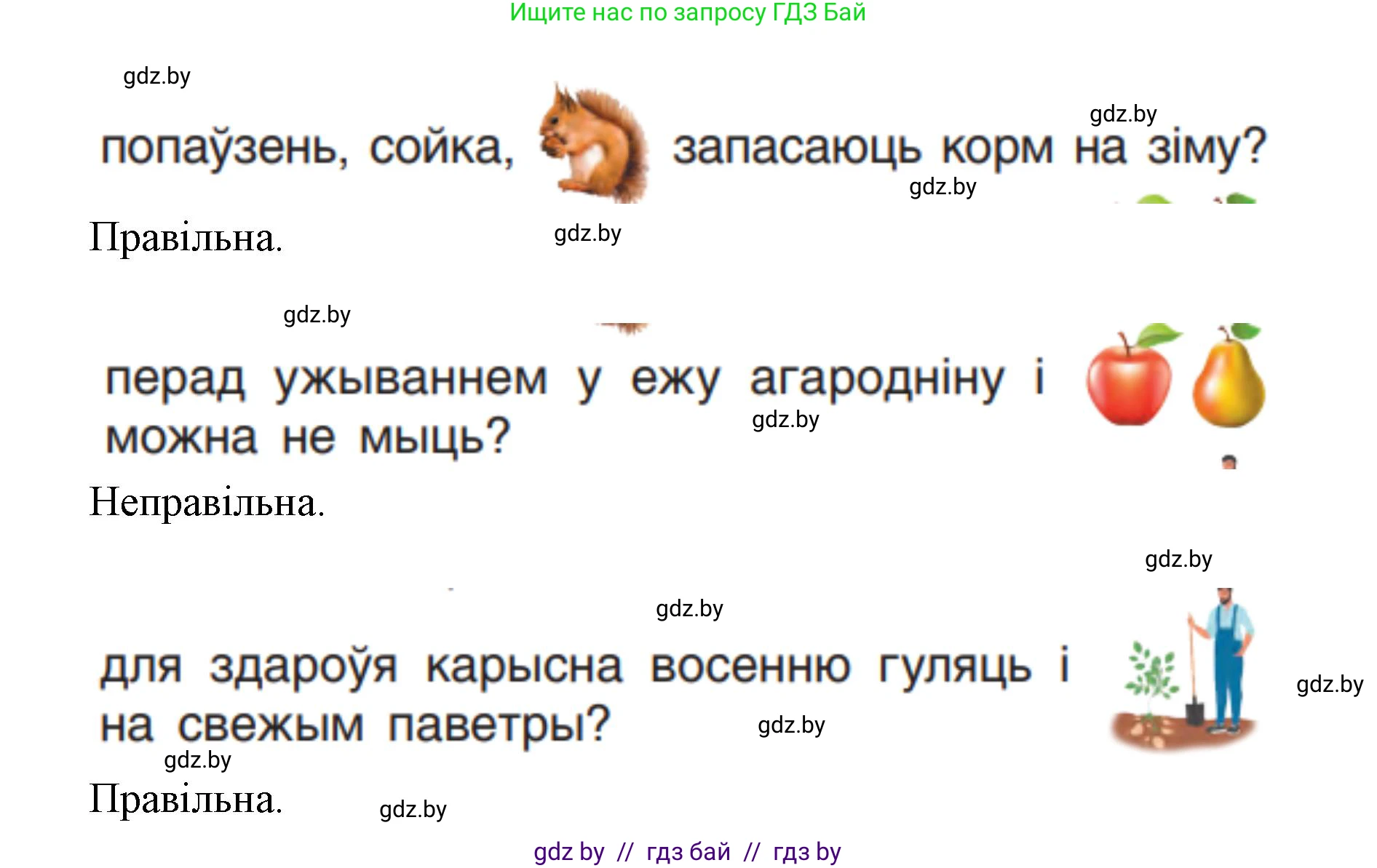 Человек и мир, 1 класс Учебник, авторы: Трафимова Галина Владимировна, Трафимов Сергей Анатольевич, издательство Национальный институт образования, Минск, 2023, салатового цвета, страница 32, Решение (продолжение 2)