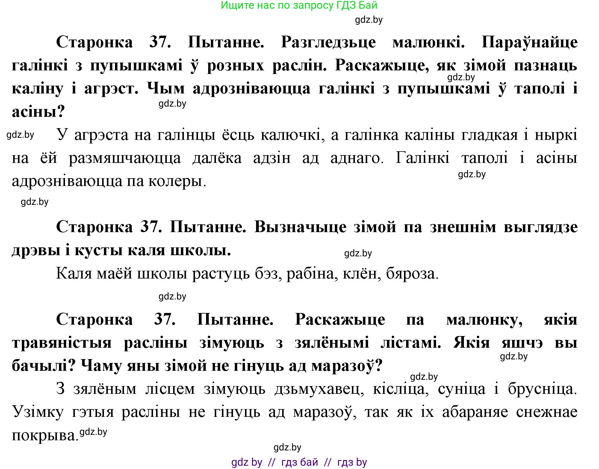 Человек и мир, 1 класс Учебник, авторы: Трафимова Галина Владимировна, Трафимов Сергей Анатольевич, издательство Национальный институт образования, Минск, 2023, салатового цвета, страница 37, Решение