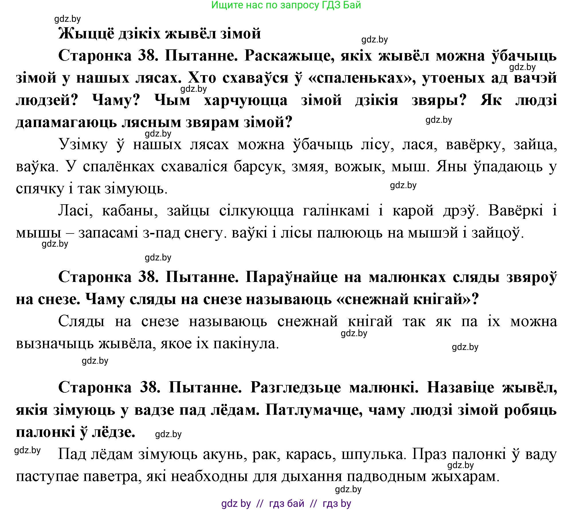 Человек и мир, 1 класс Учебник, авторы: Трафимова Галина Владимировна, Трафимов Сергей Анатольевич, издательство Национальный институт образования, Минск, 2023, салатового цвета, страница 38, Решение