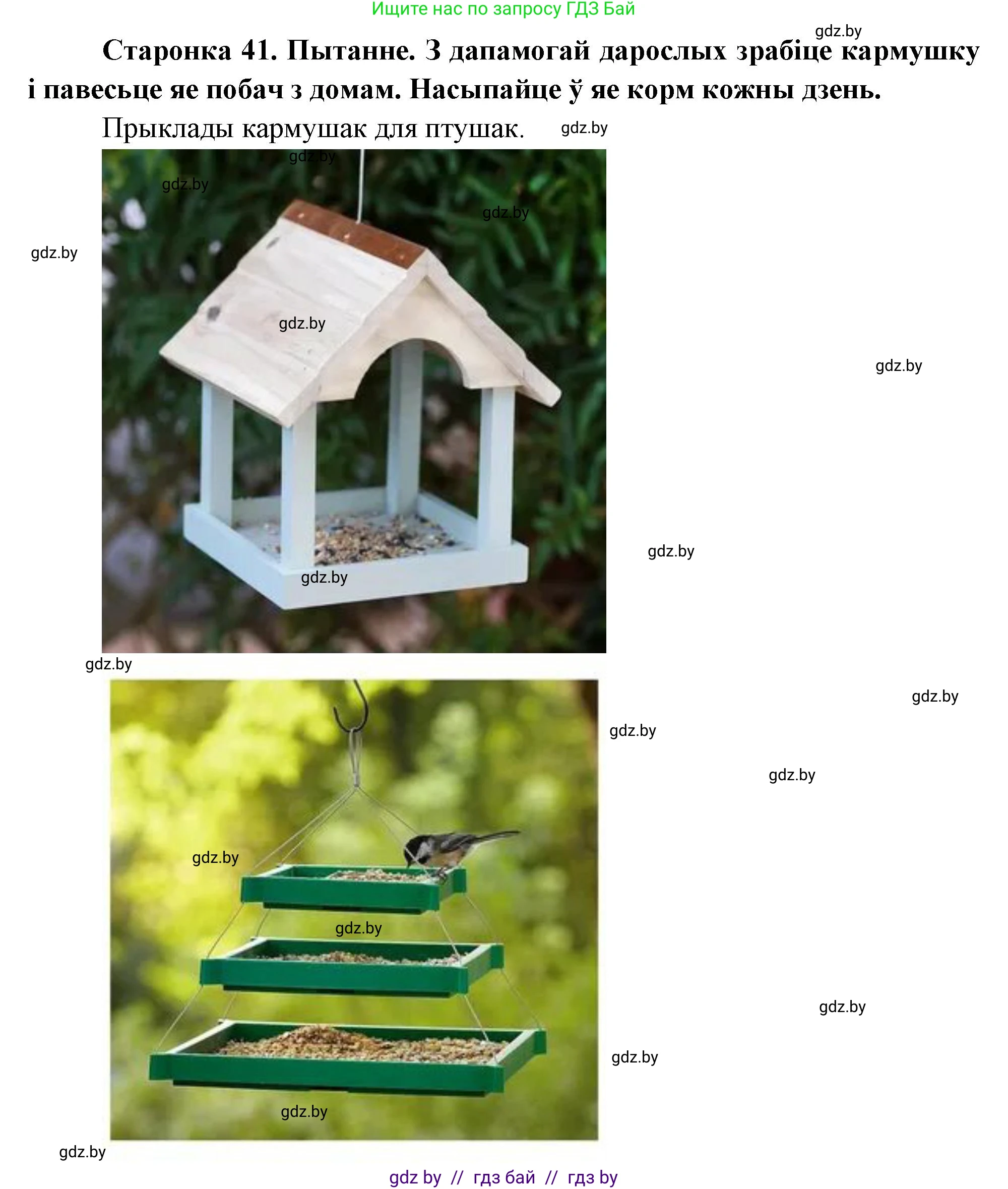 Человек и мир, 1 класс Учебник, авторы: Трафимова Галина Владимировна, Трафимов Сергей Анатольевич, издательство Национальный институт образования, Минск, 2023, салатового цвета, страница 41, Решение (продолжение 2)