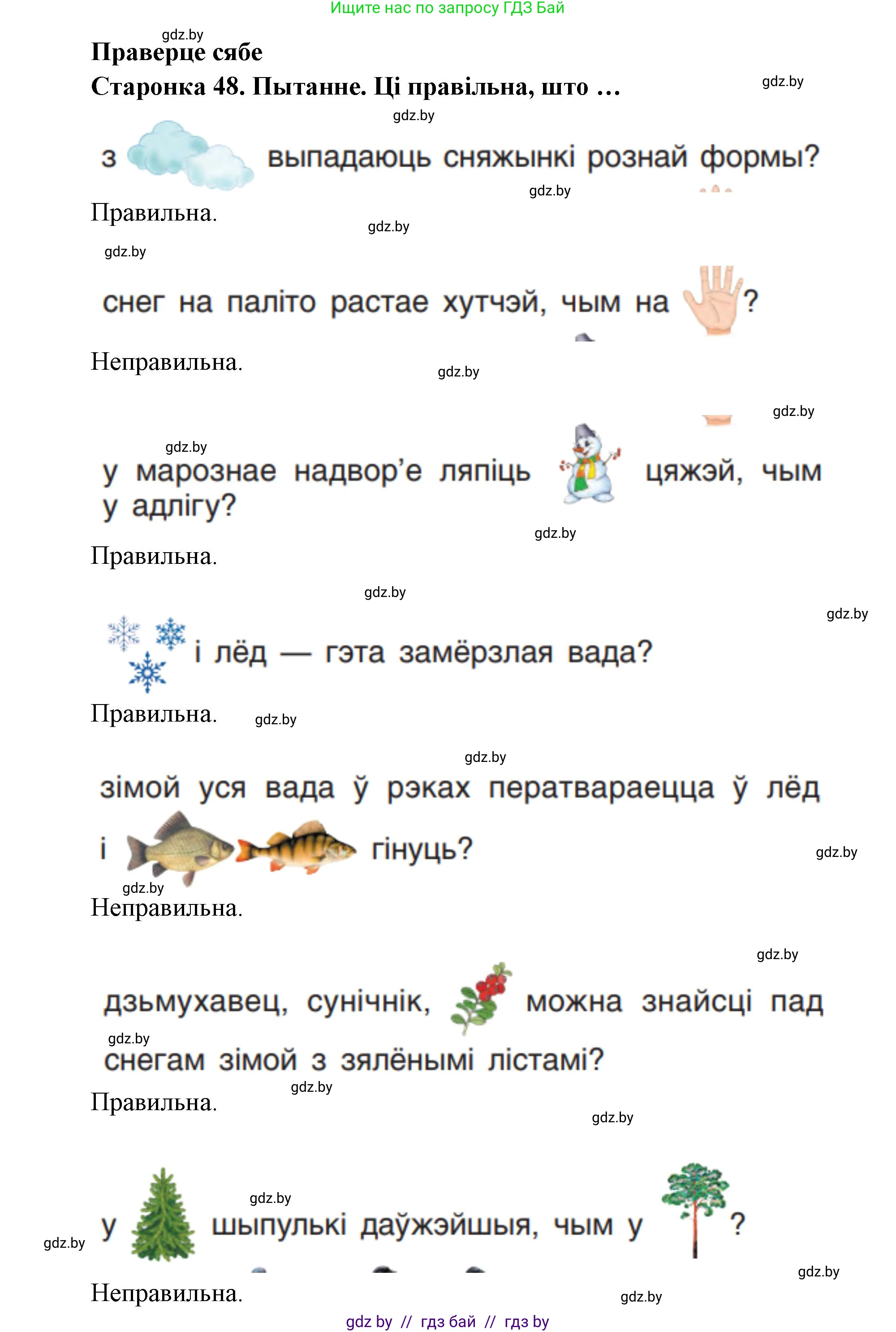 Человек и мир, 1 класс Учебник, авторы: Трафимова Галина Владимировна, Трафимов Сергей Анатольевич, издательство Национальный институт образования, Минск, 2023, салатового цвета, страница 48, Решение