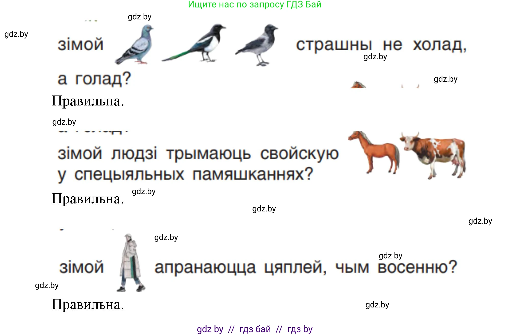 Человек и мир, 1 класс Учебник, авторы: Трафимова Галина Владимировна, Трафимов Сергей Анатольевич, издательство Национальный институт образования, Минск, 2023, салатового цвета, страница 48, Решение (продолжение 2)