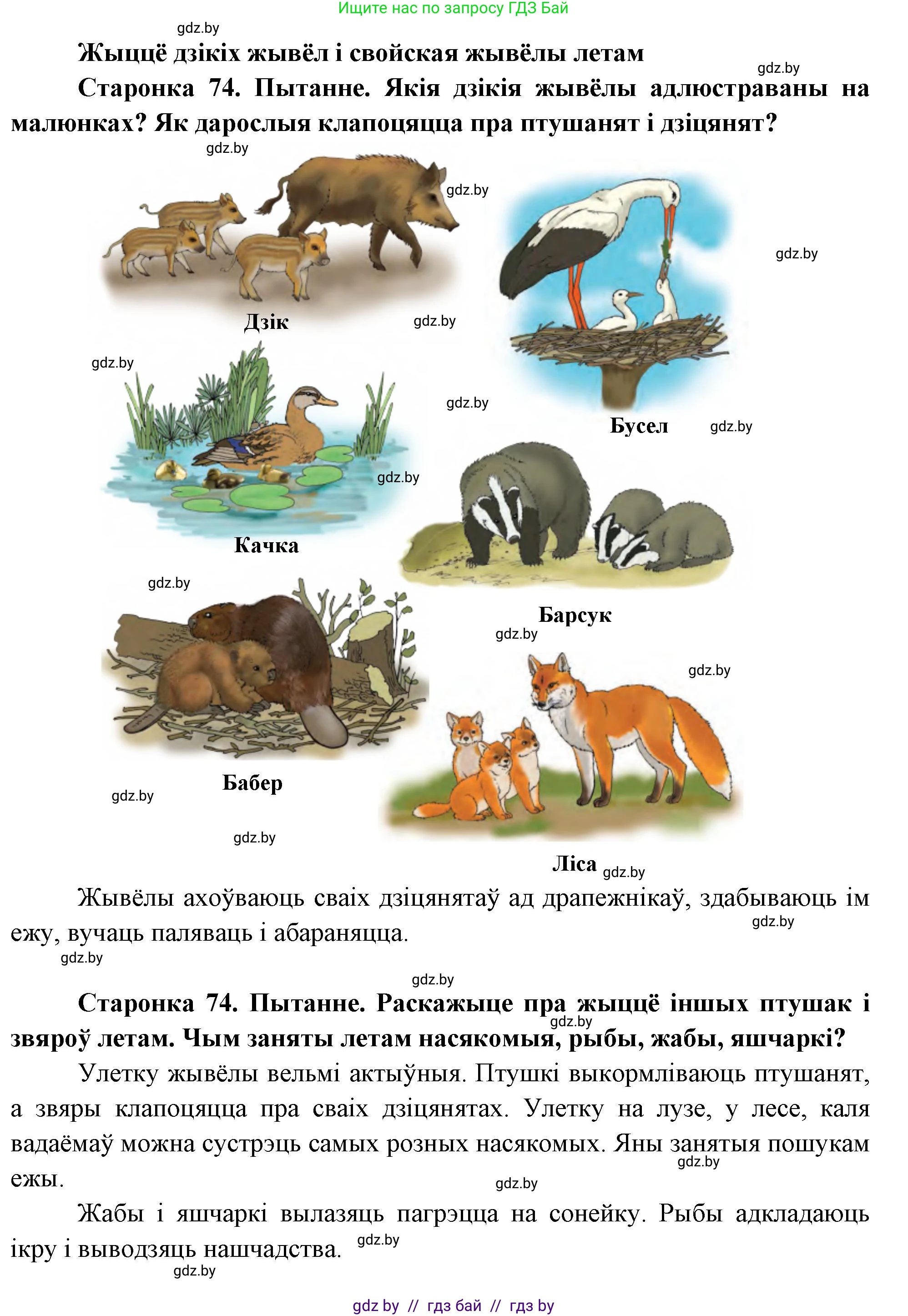 Человек и мир, 1 класс Учебник, авторы: Трафимова Галина Владимировна, Трафимов Сергей Анатольевич, издательство Национальный институт образования, Минск, 2023, салатового цвета, страница 74, Решение