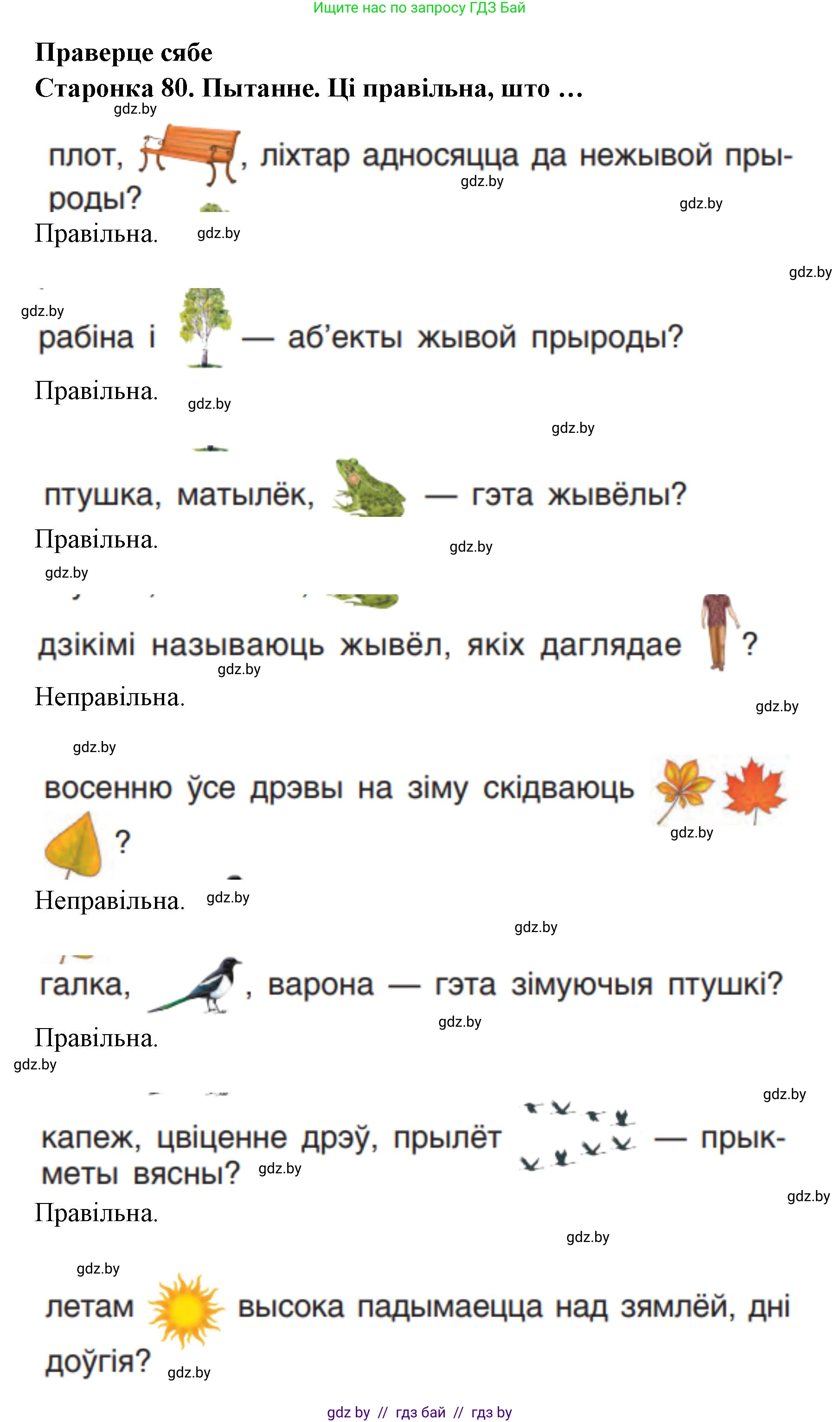 Человек и мир, 1 класс Учебник, авторы: Трафимова Галина Владимировна, Трафимов Сергей Анатольевич, издательство Национальный институт образования, Минск, 2023, салатового цвета, страница 80, Решение