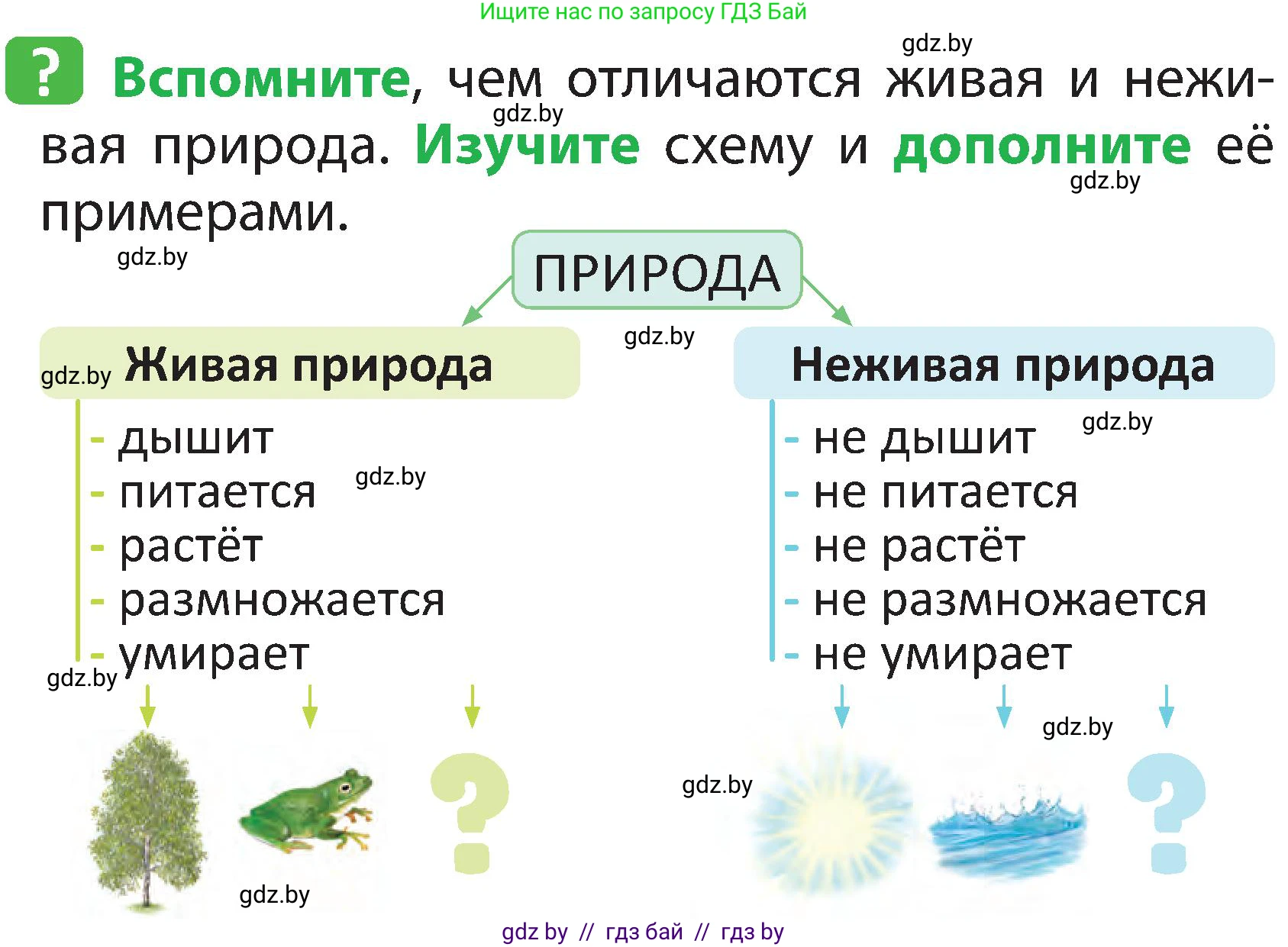 Человек и мир, 2 класс Учебник, авторы: Трафимова Галина Владимировна, Трафимов Сергей Анатольевич, издательство Академия образования, Минск, 2024, страница 6, номер 2, Условие
