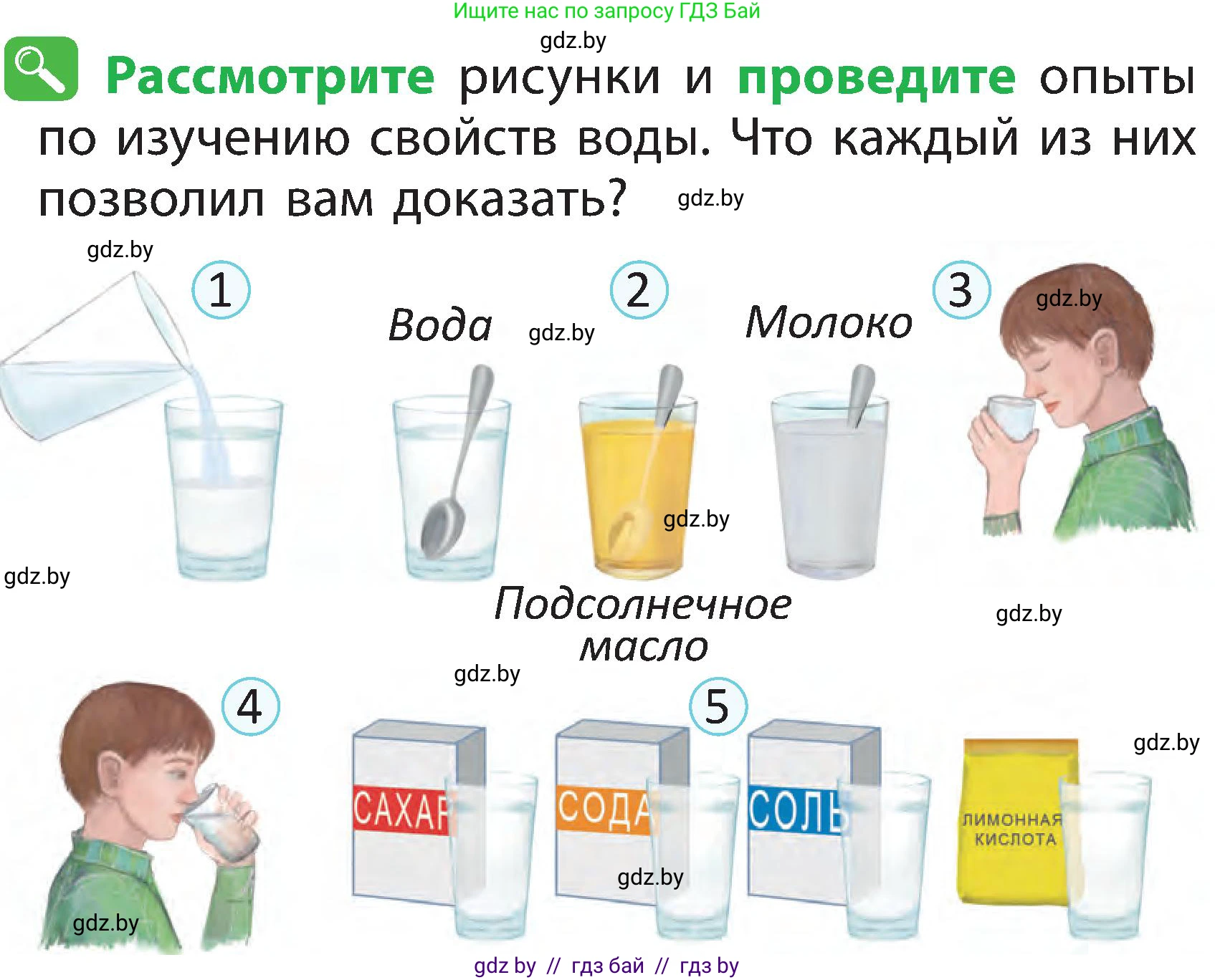 Человек и мир, 2 класс Учебник, авторы: Трафимова Галина Владимировна, Трафимов Сергей Анатольевич, издательство Академия образования, Минск, 2024, страница 20, номер 4, Условие