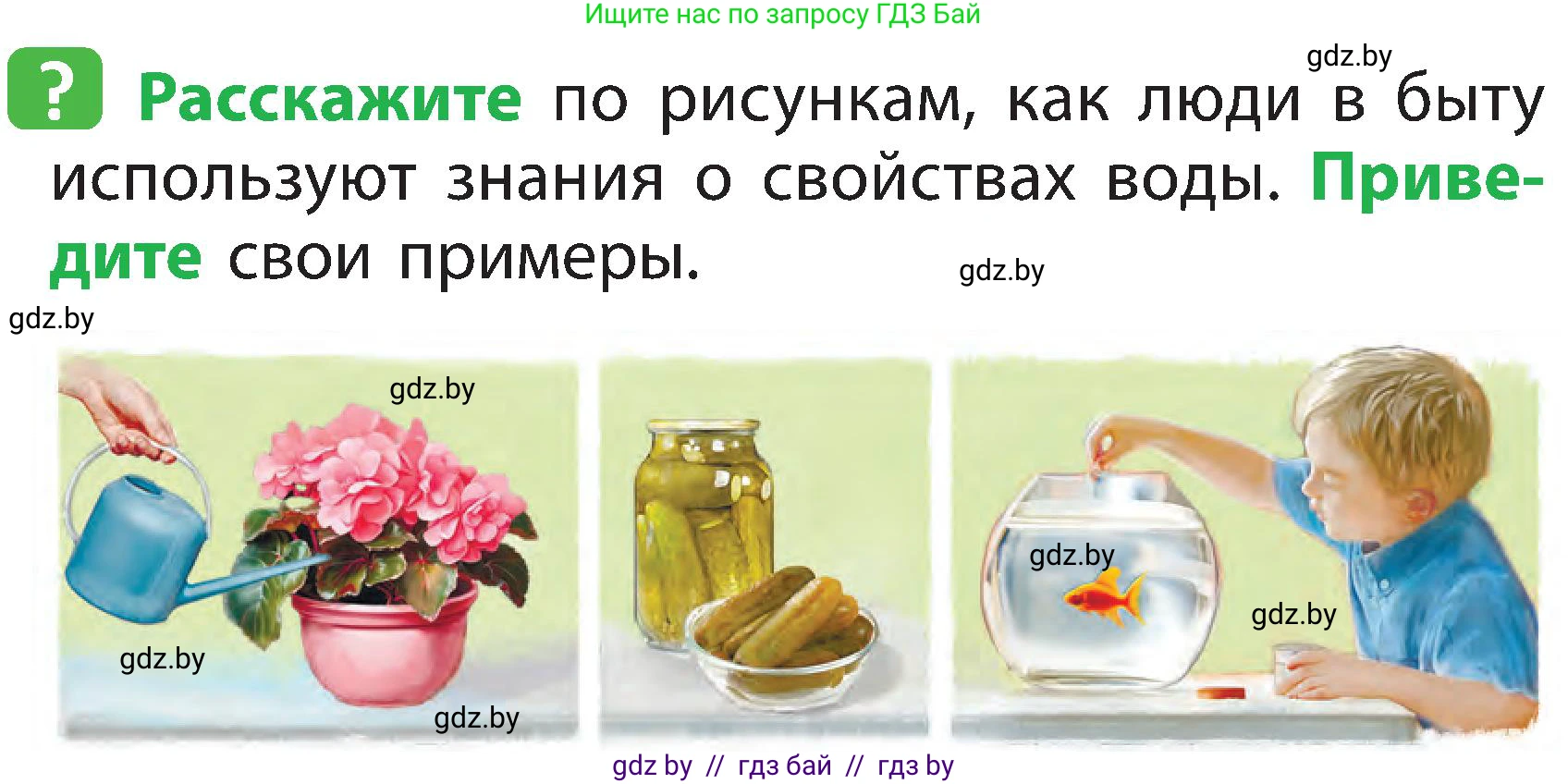 Человек и мир, 2 класс Учебник, авторы: Трафимова Галина Владимировна, Трафимов Сергей Анатольевич, издательство Академия образования, Минск, 2024, страница 21, номер 7, Условие