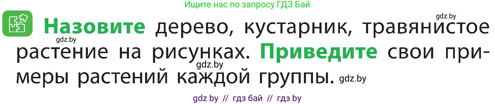 Человек и мир, 2 класс Учебник, авторы: Трафимова Галина Владимировна, Трафимов Сергей Анатольевич, издательство Академия образования, Минск, 2024, страница 37, номер 2, Условие