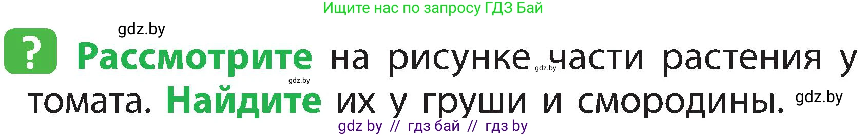 Человек и мир, 2 класс Учебник, авторы: Трафимова Галина Владимировна, Трафимов Сергей Анатольевич, издательство Академия образования, Минск, 2024, страница 37, номер 3, Условие