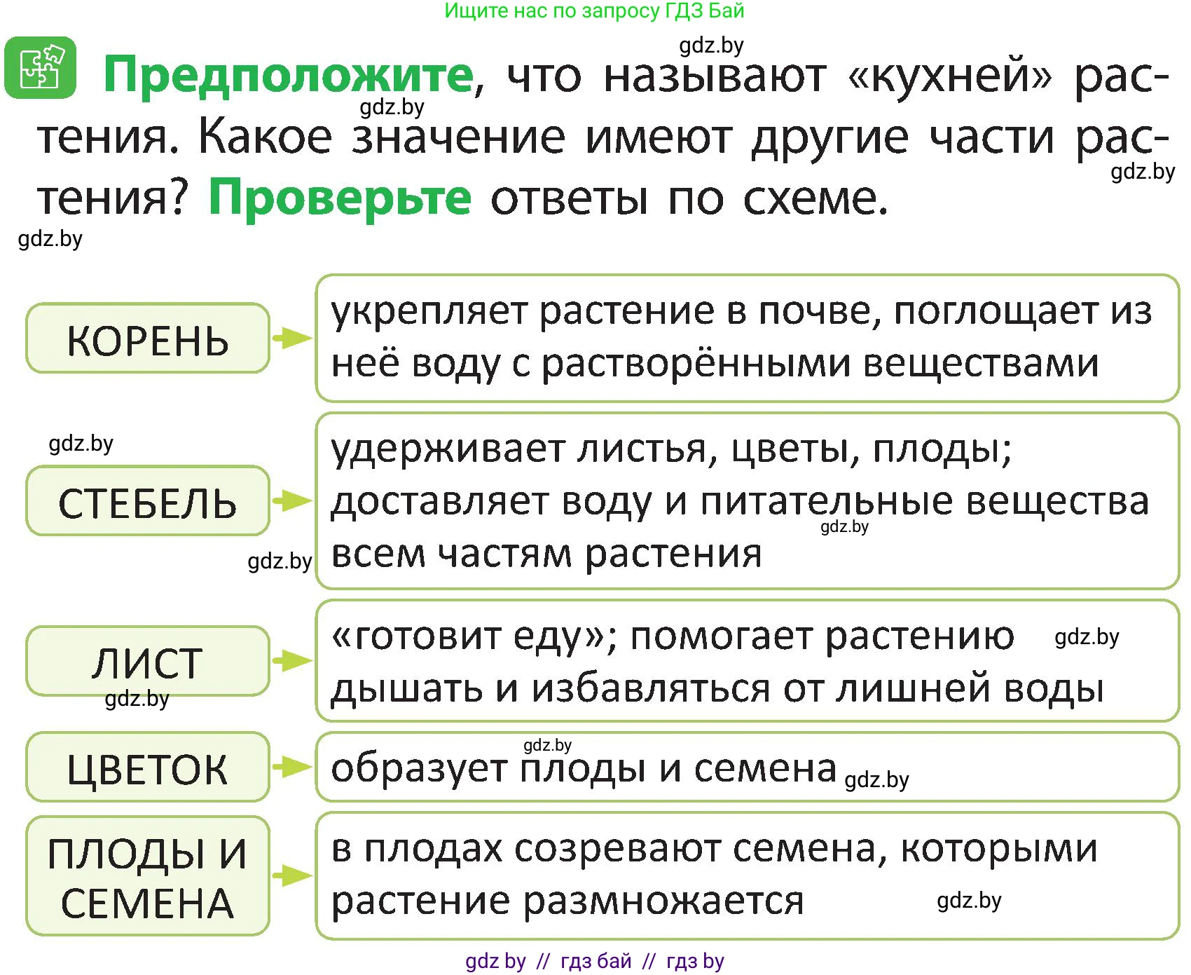 Человек и мир, 2 класс Учебник, авторы: Трафимова Галина Владимировна, Трафимов Сергей Анатольевич, издательство Академия образования, Минск, 2024, страница 38, номер 4, Условие