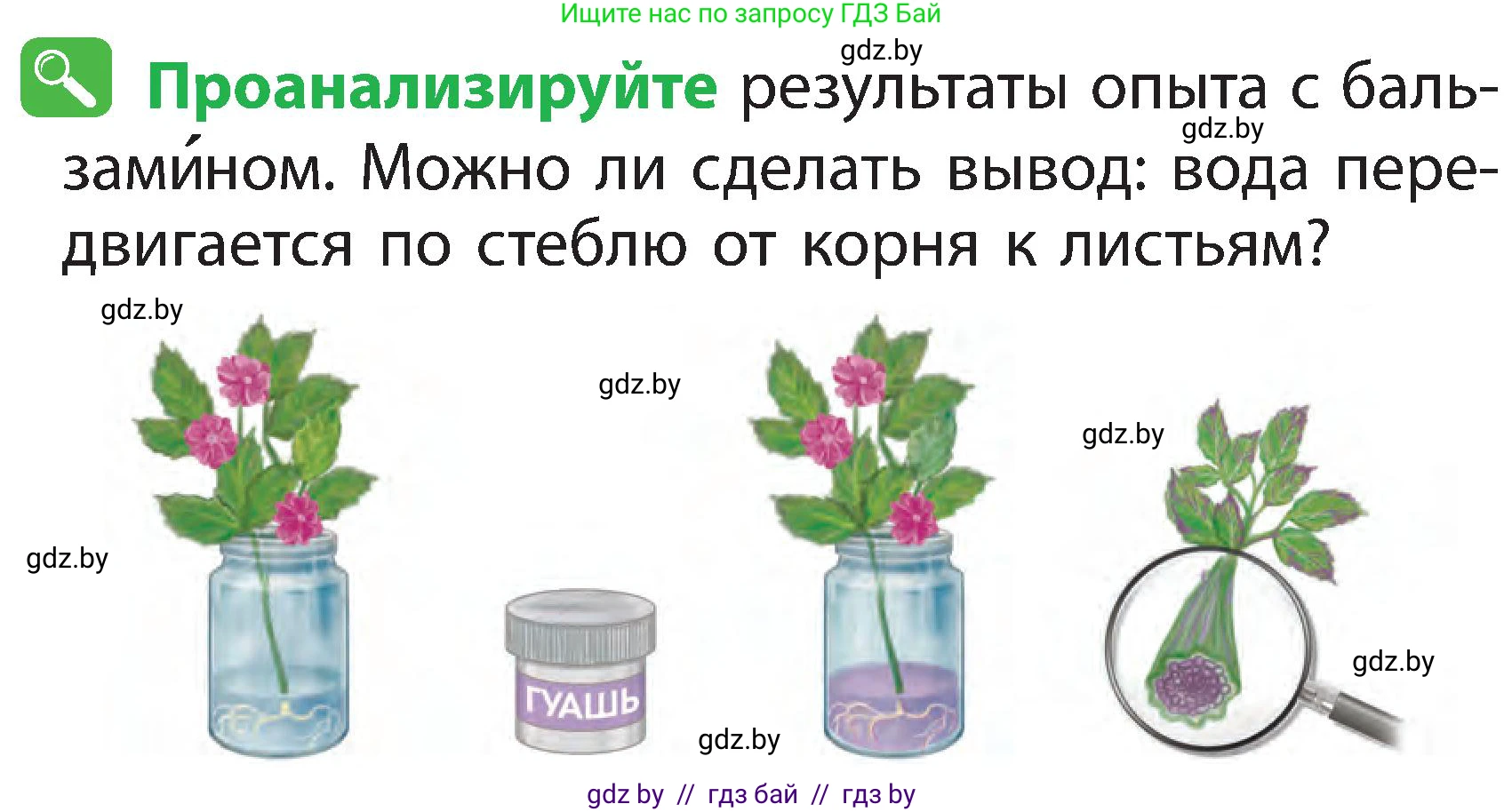 Человек и мир, 2 класс Учебник, авторы: Трафимова Галина Владимировна, Трафимов Сергей Анатольевич, издательство Академия образования, Минск, 2024, страница 39, номер 5, Условие