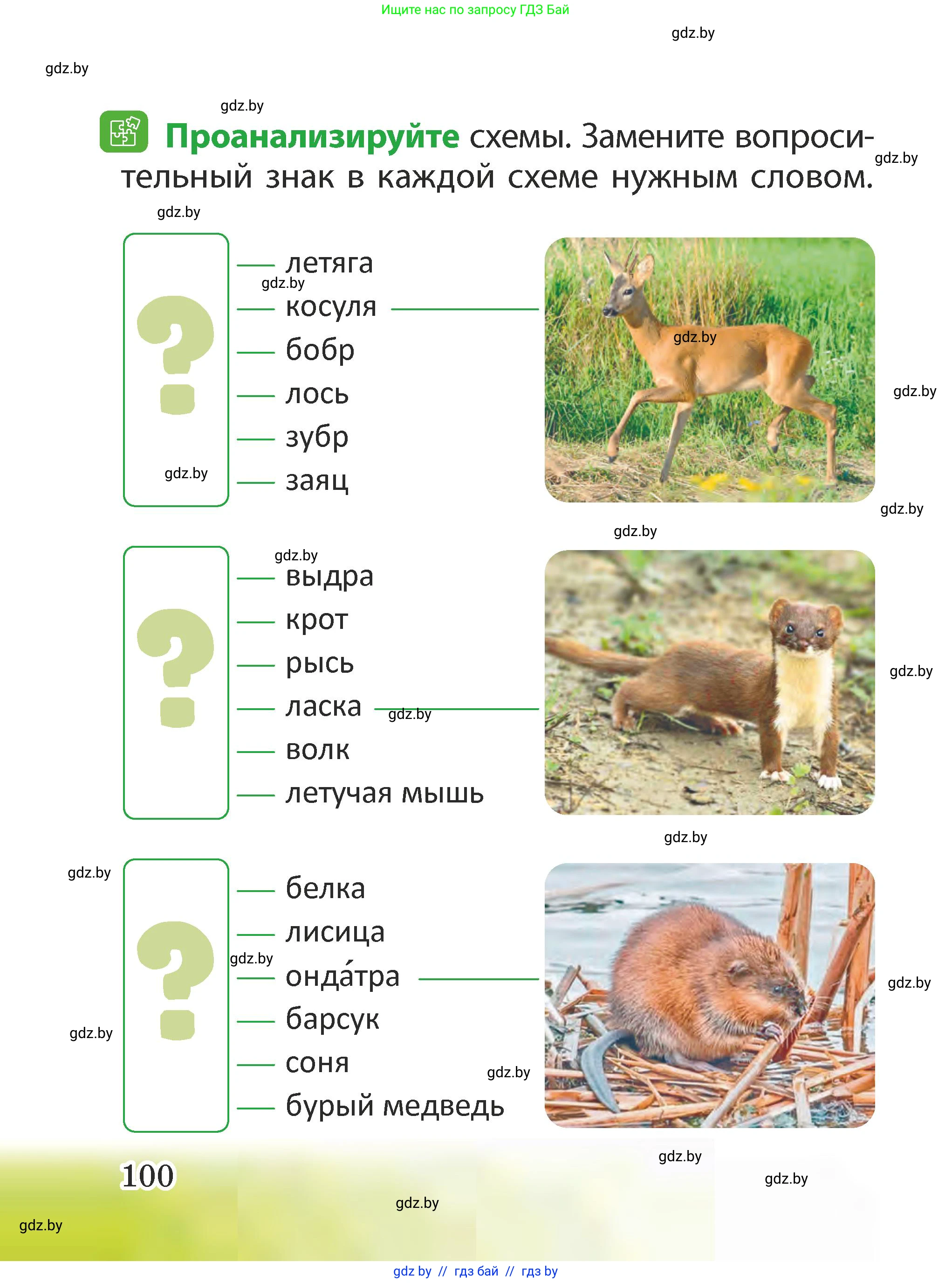 Человек и мир, 2 класс Учебник, авторы: Трафимова Галина Владимировна, Трафимов Сергей Анатольевич, издательство Академия образования, Минск, 2024, страница 100
