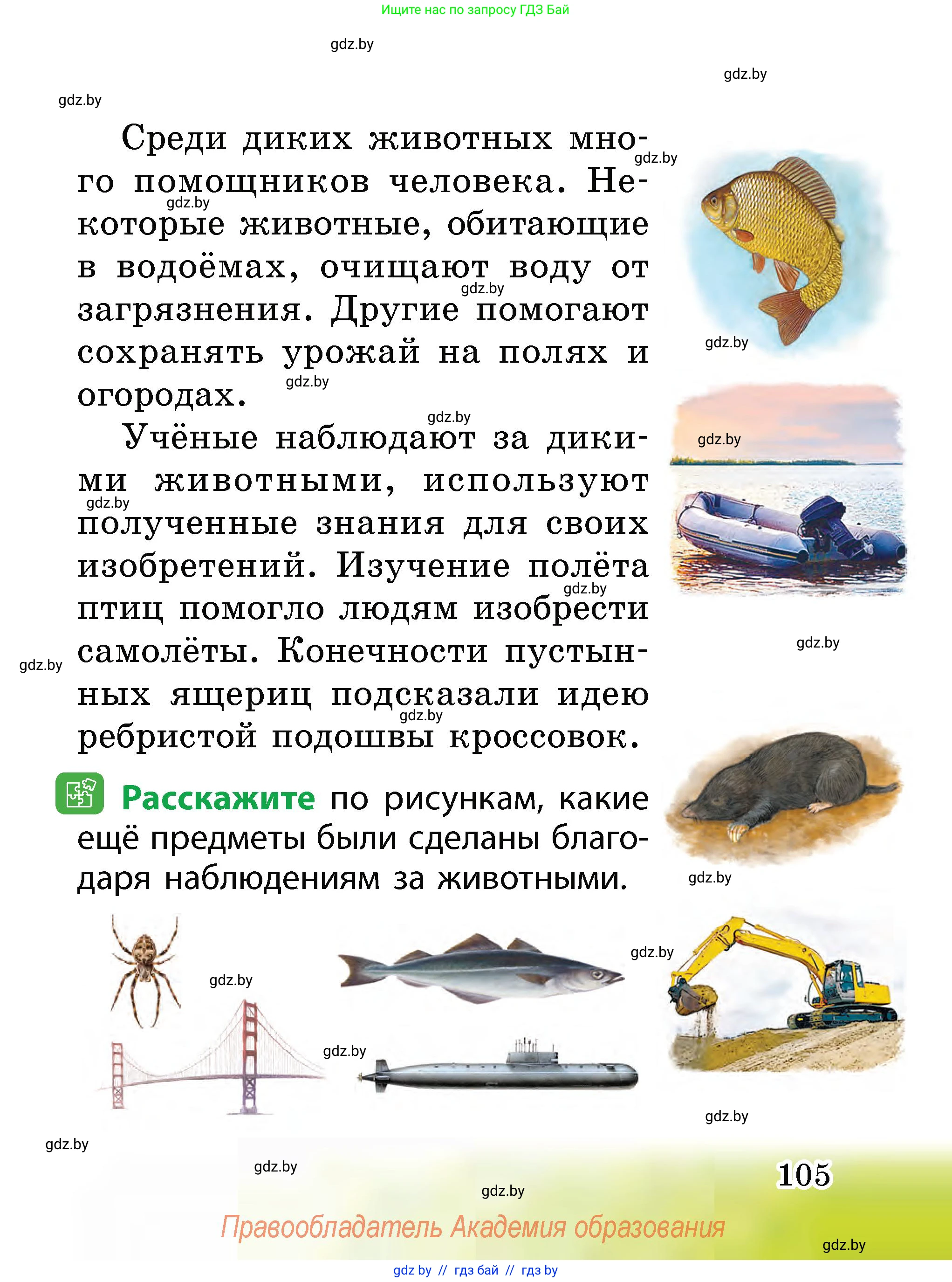 Человек и мир, 2 класс Учебник, авторы: Трафимова Галина Владимировна, Трафимов Сергей Анатольевич, издательство Академия образования, Минск, 2024, страница 105