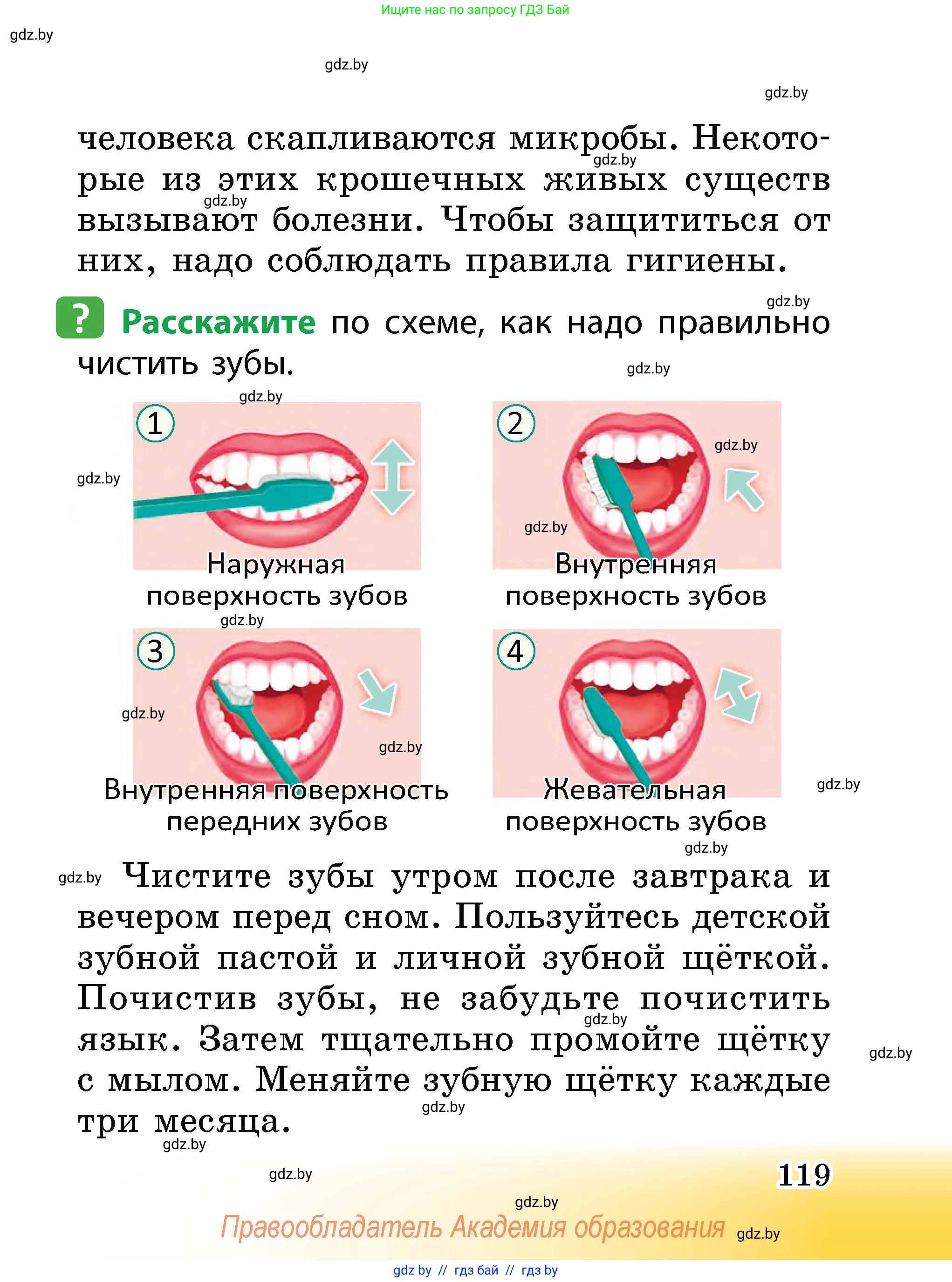 Человек и мир, 2 класс Учебник, авторы: Трафимова Галина Владимировна, Трафимов Сергей Анатольевич, издательство Академия образования, Минск, 2024, страница 119
