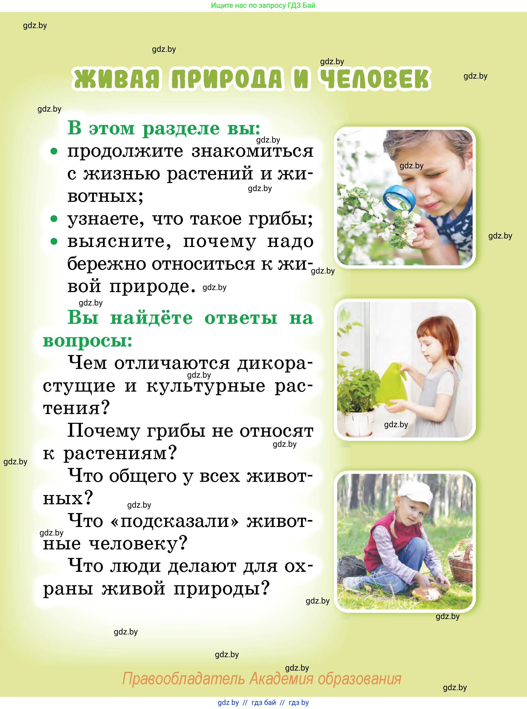 Человек и мир, 2 класс Учебник, авторы: Трафимова Галина Владимировна, Трафимов Сергей Анатольевич, издательство Академия образования, Минск, 2024, страница 35