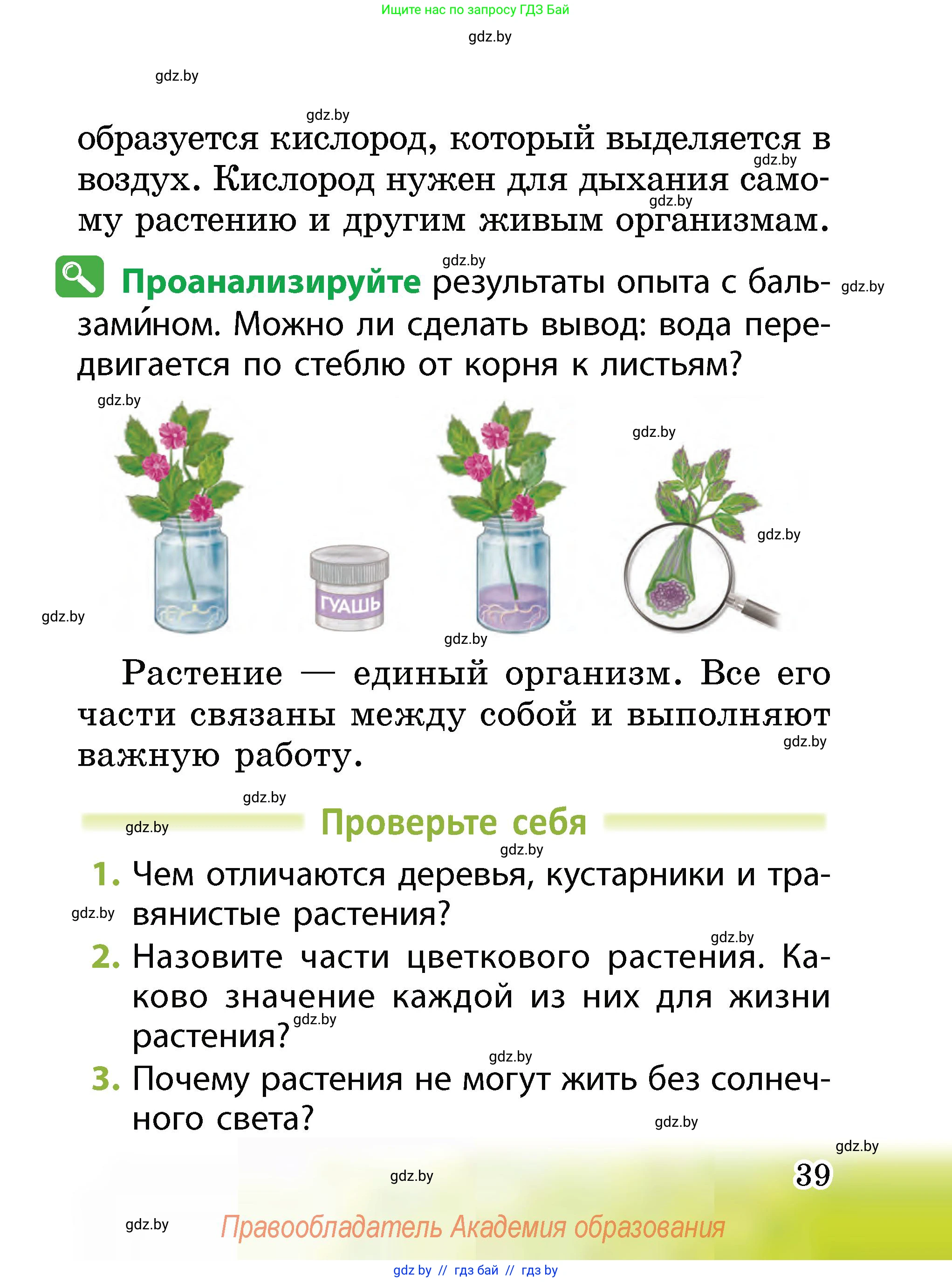 Человек и мир, 2 класс Учебник, авторы: Трафимова Галина Владимировна, Трафимов Сергей Анатольевич, издательство Академия образования, Минск, 2024, страница 39
