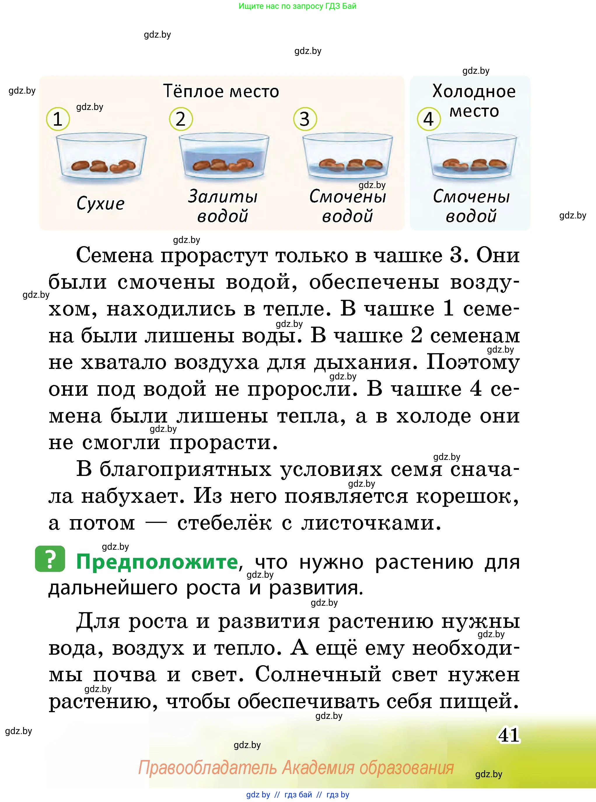 Человек и мир, 2 класс Учебник, авторы: Трафимова Галина Владимировна, Трафимов Сергей Анатольевич, издательство Академия образования, Минск, 2024, страница 41