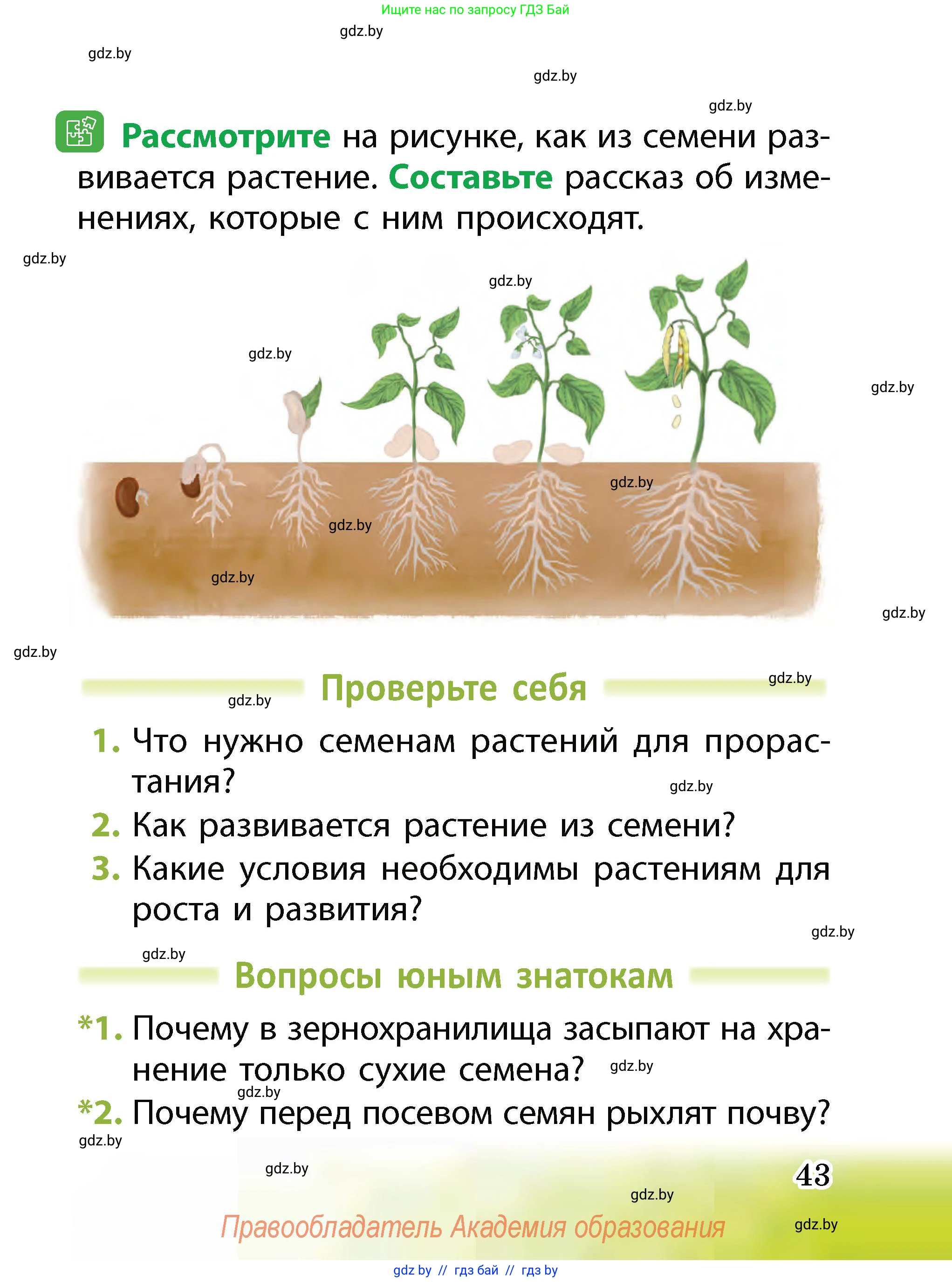 Человек и мир, 2 класс Учебник, авторы: Трафимова Галина Владимировна, Трафимов Сергей Анатольевич, издательство Академия образования, Минск, 2024, страница 43