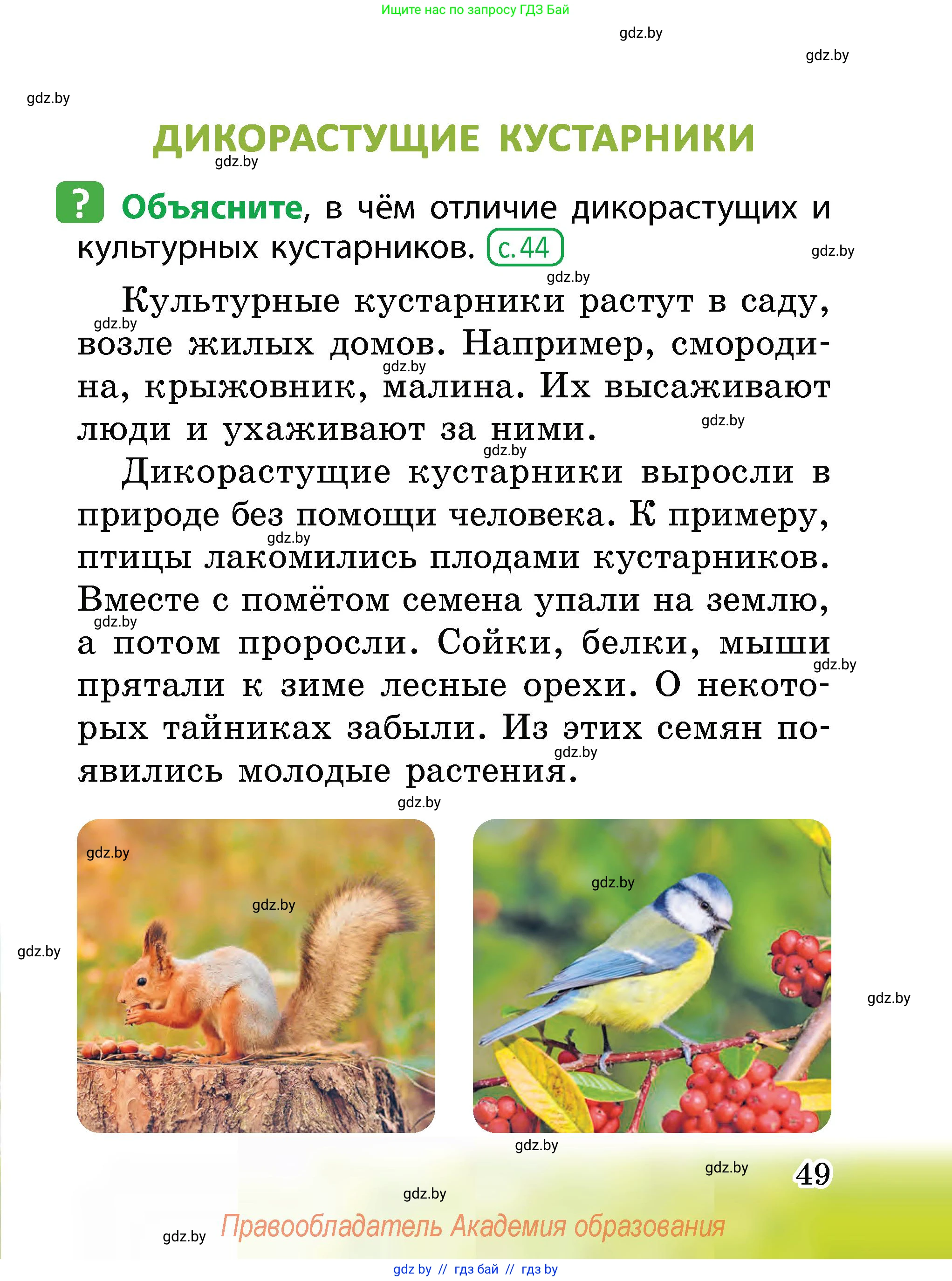 Человек и мир, 2 класс Учебник, авторы: Трафимова Галина Владимировна, Трафимов Сергей Анатольевич, издательство Академия образования, Минск, 2024, страница 49