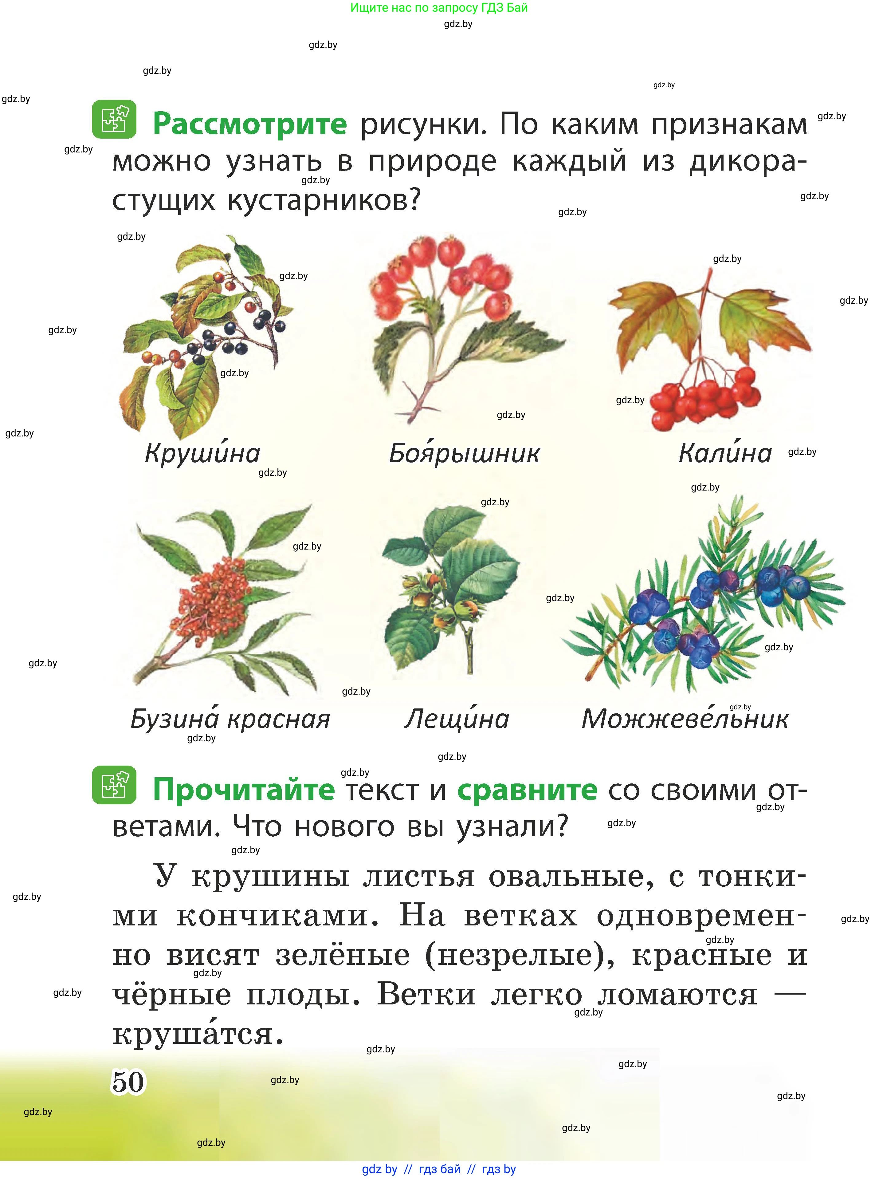 Человек и мир, 2 класс Учебник, авторы: Трафимова Галина Владимировна, Трафимов Сергей Анатольевич, издательство Академия образования, Минск, 2024, страница 50