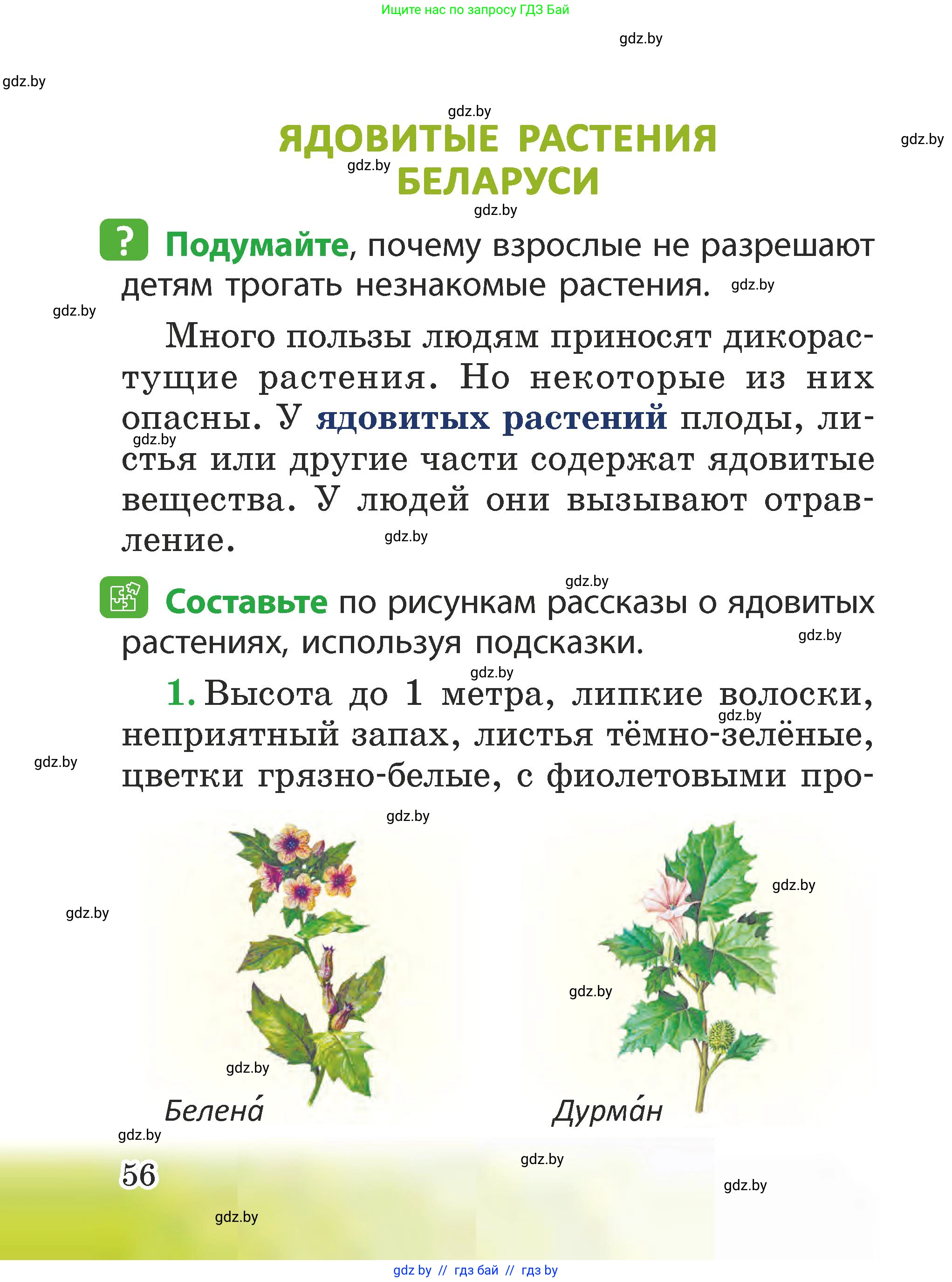 Человек и мир, 2 класс Учебник, авторы: Трафимова Галина Владимировна, Трафимов Сергей Анатольевич, издательство Академия образования, Минск, 2024, страница 56