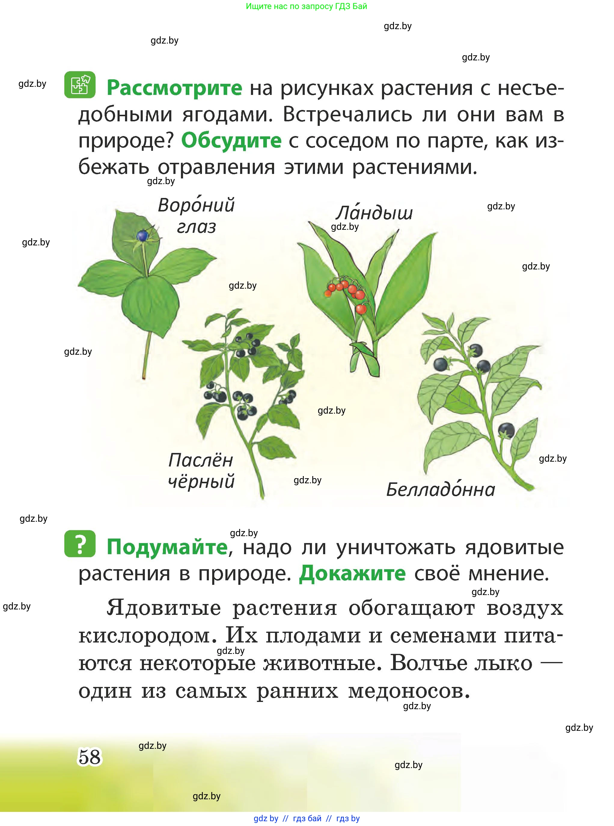 Человек и мир, 2 класс Учебник, авторы: Трафимова Галина Владимировна, Трафимов Сергей Анатольевич, издательство Академия образования, Минск, 2024, страница 58