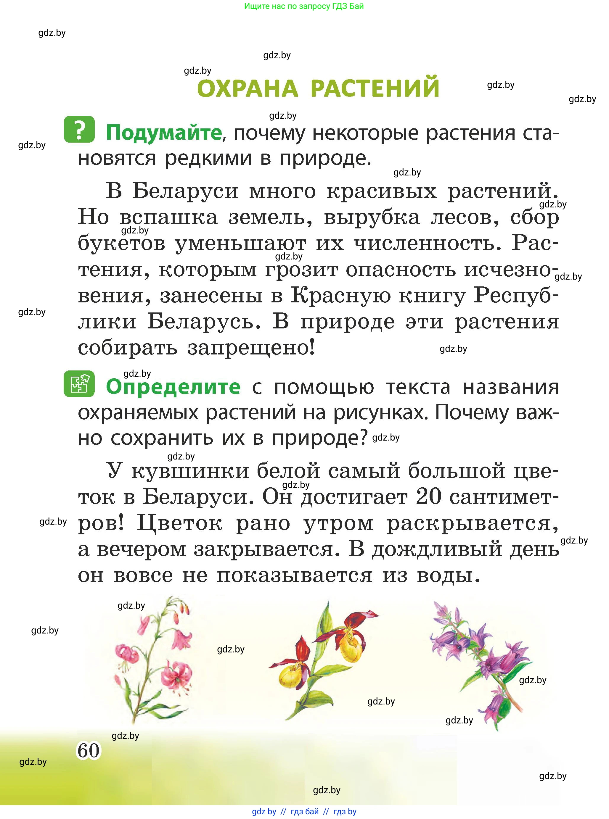 Человек и мир, 2 класс Учебник, авторы: Трафимова Галина Владимировна, Трафимов Сергей Анатольевич, издательство Академия образования, Минск, 2024, страница 60