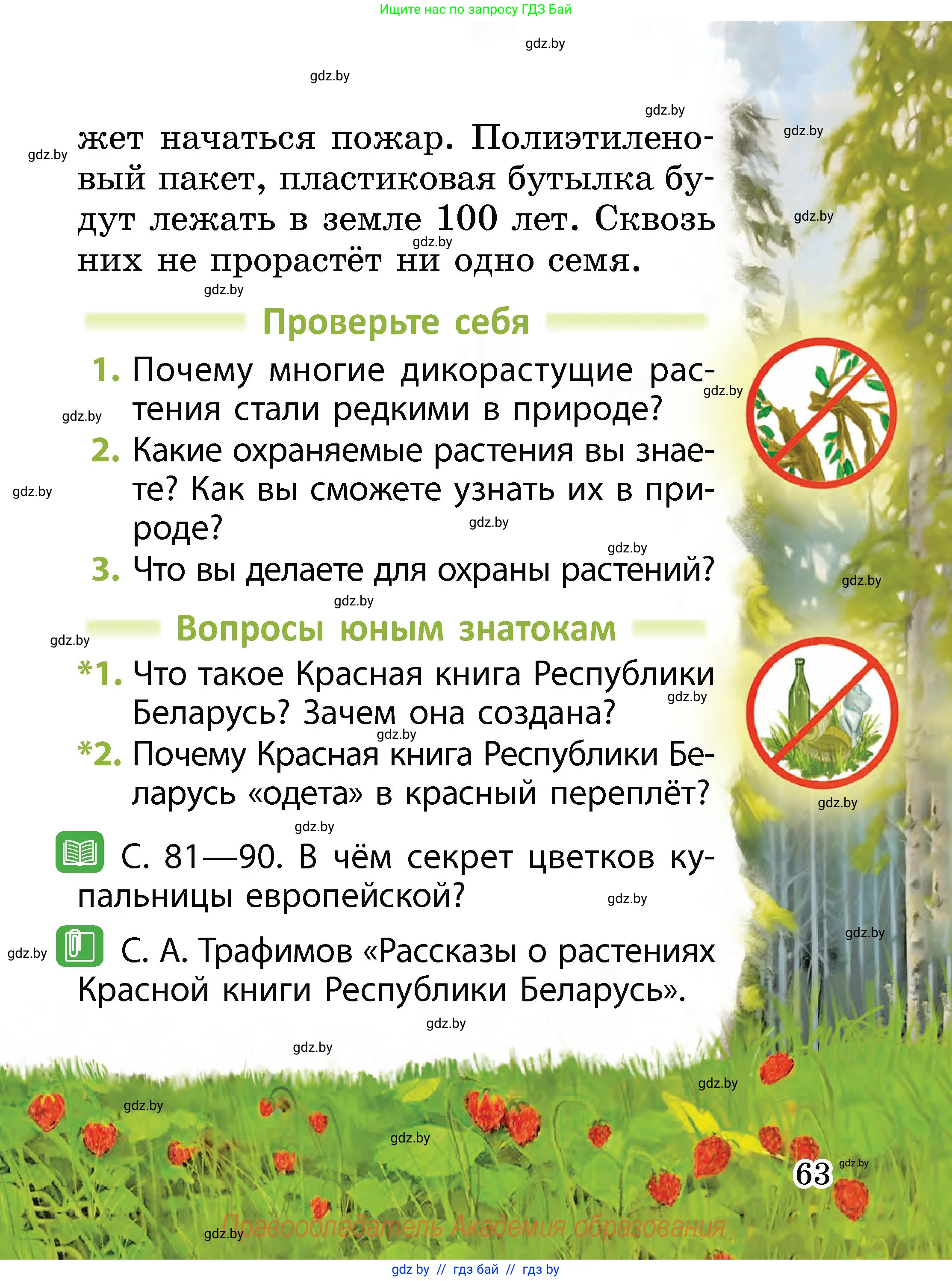 Человек и мир, 2 класс Учебник, авторы: Трафимова Галина Владимировна, Трафимов Сергей Анатольевич, издательство Академия образования, Минск, 2024, страница 63