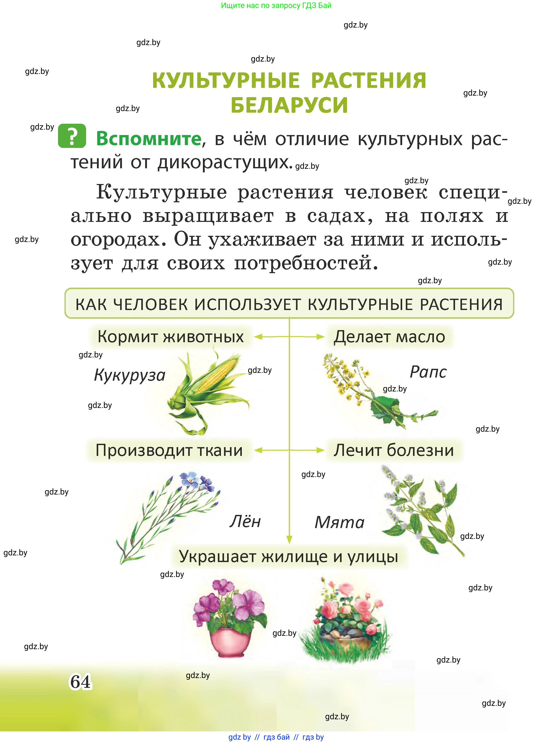 Человек и мир, 2 класс Учебник, авторы: Трафимова Галина Владимировна, Трафимов Сергей Анатольевич, издательство Академия образования, Минск, 2024, страница 64