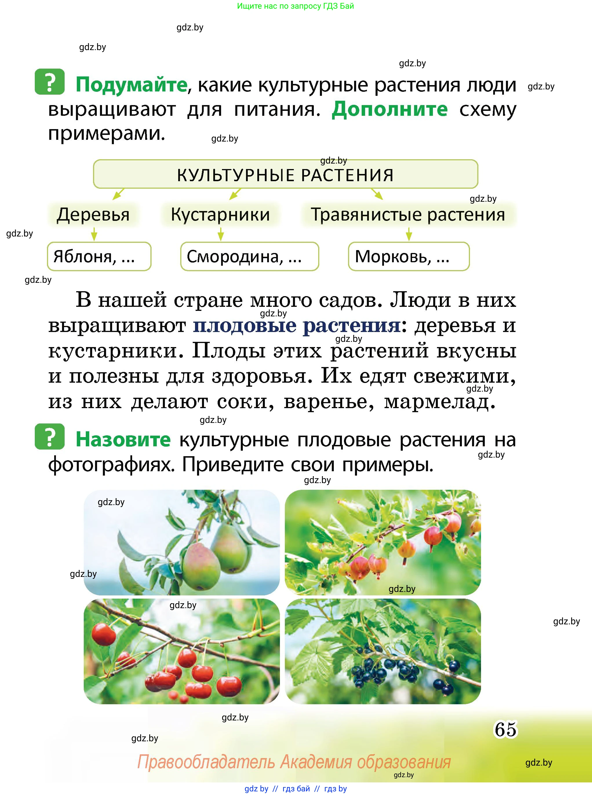 Человек и мир, 2 класс Учебник, авторы: Трафимова Галина Владимировна, Трафимов Сергей Анатольевич, издательство Академия образования, Минск, 2024, страница 65