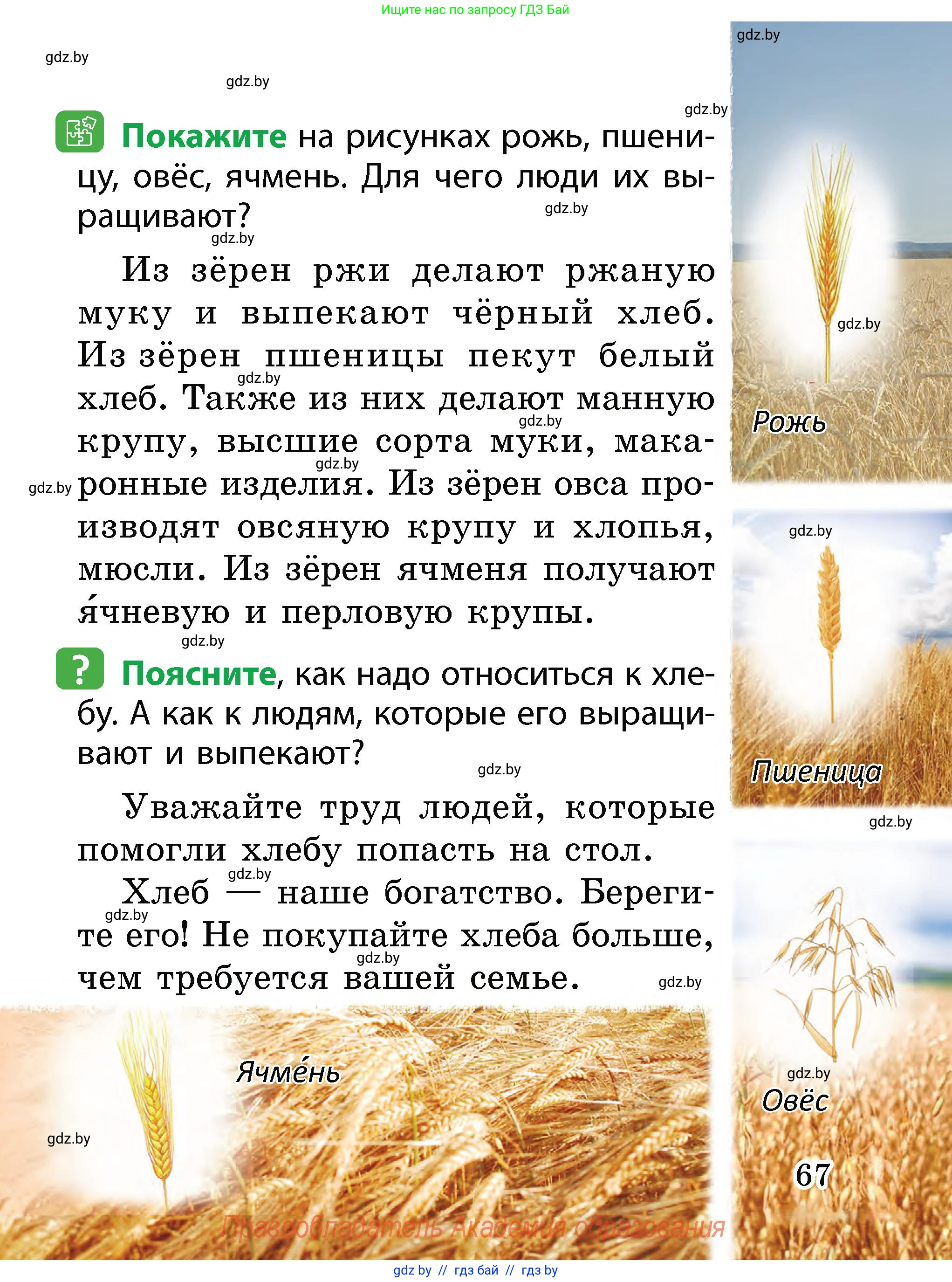 Человек и мир, 2 класс Учебник, авторы: Трафимова Галина Владимировна, Трафимов Сергей Анатольевич, издательство Академия образования, Минск, 2024, страница 67