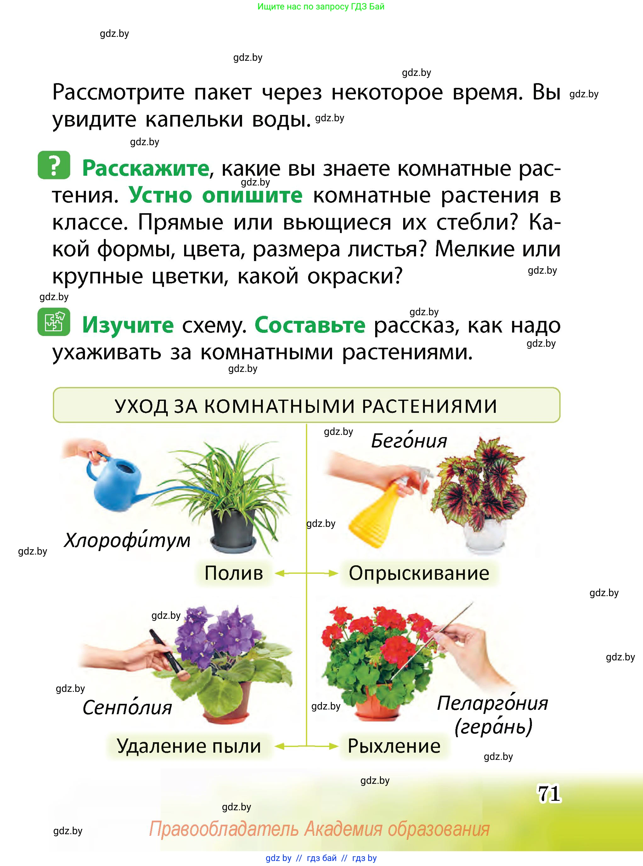 Человек и мир, 2 класс Учебник, авторы: Трафимова Галина Владимировна, Трафимов Сергей Анатольевич, издательство Академия образования, Минск, 2024, страница 71