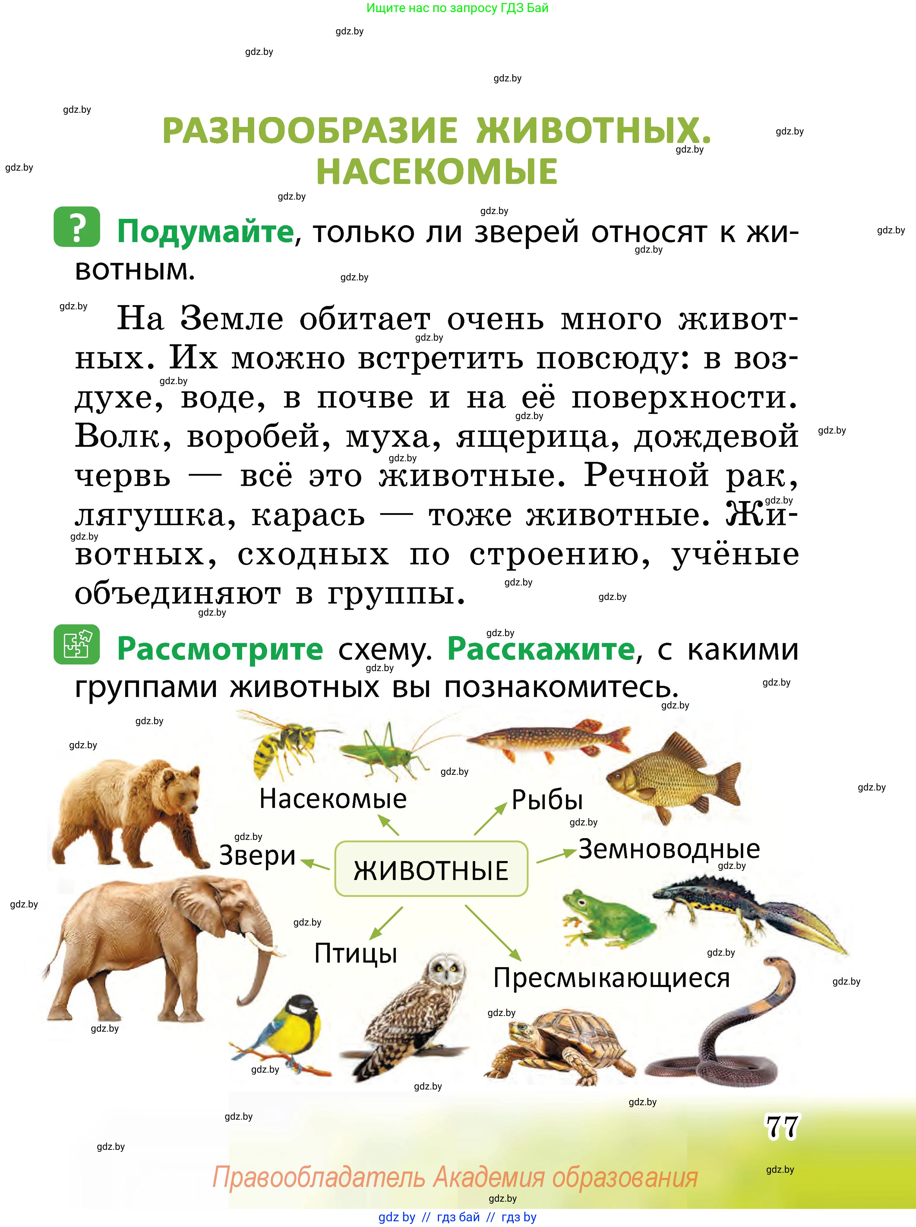 Человек и мир, 2 класс Учебник, авторы: Трафимова Галина Владимировна, Трафимов Сергей Анатольевич, издательство Академия образования, Минск, 2024, страница 77