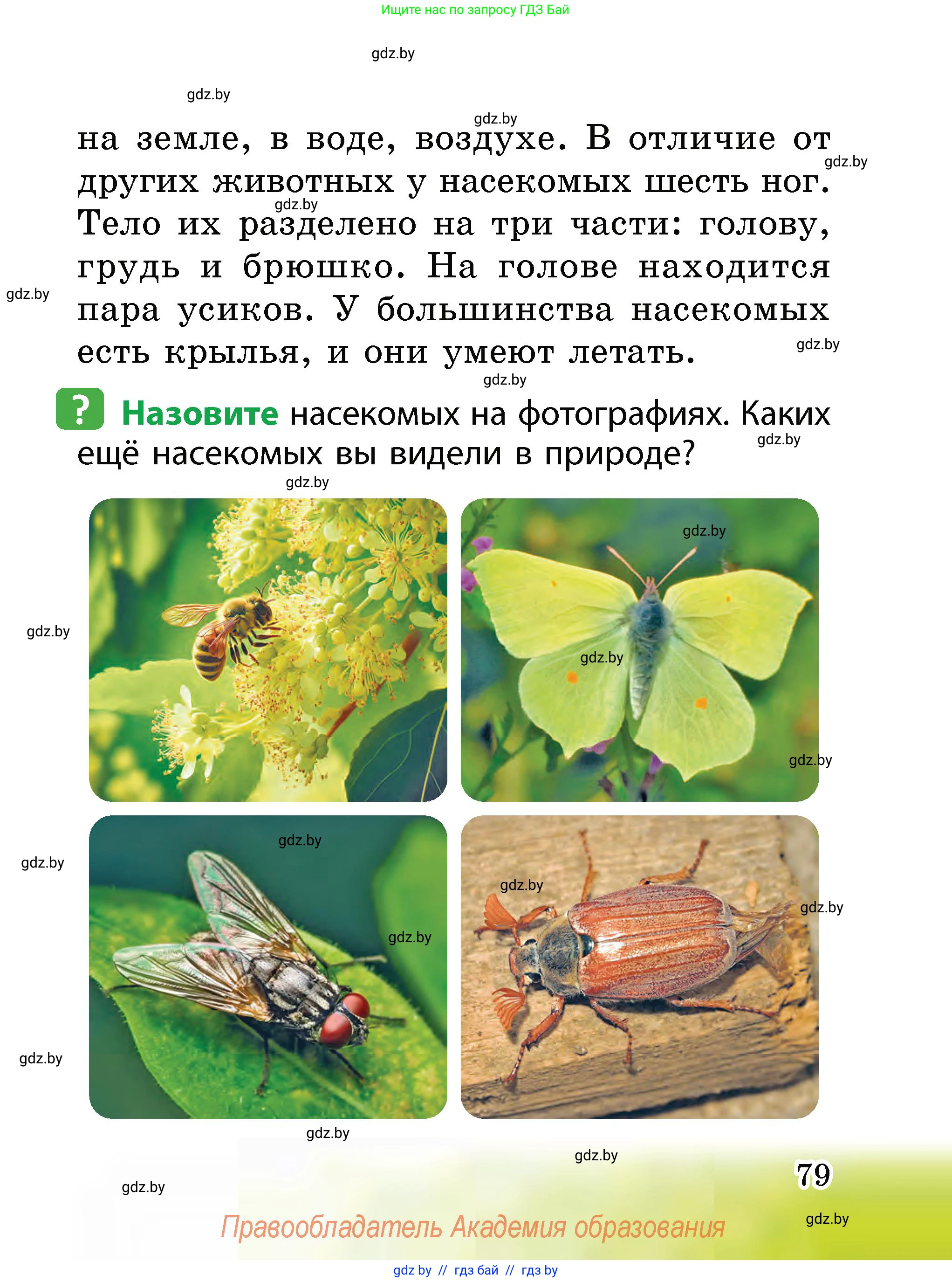 Человек и мир, 2 класс Учебник, авторы: Трафимова Галина Владимировна, Трафимов Сергей Анатольевич, издательство Академия образования, Минск, 2024, страница 79