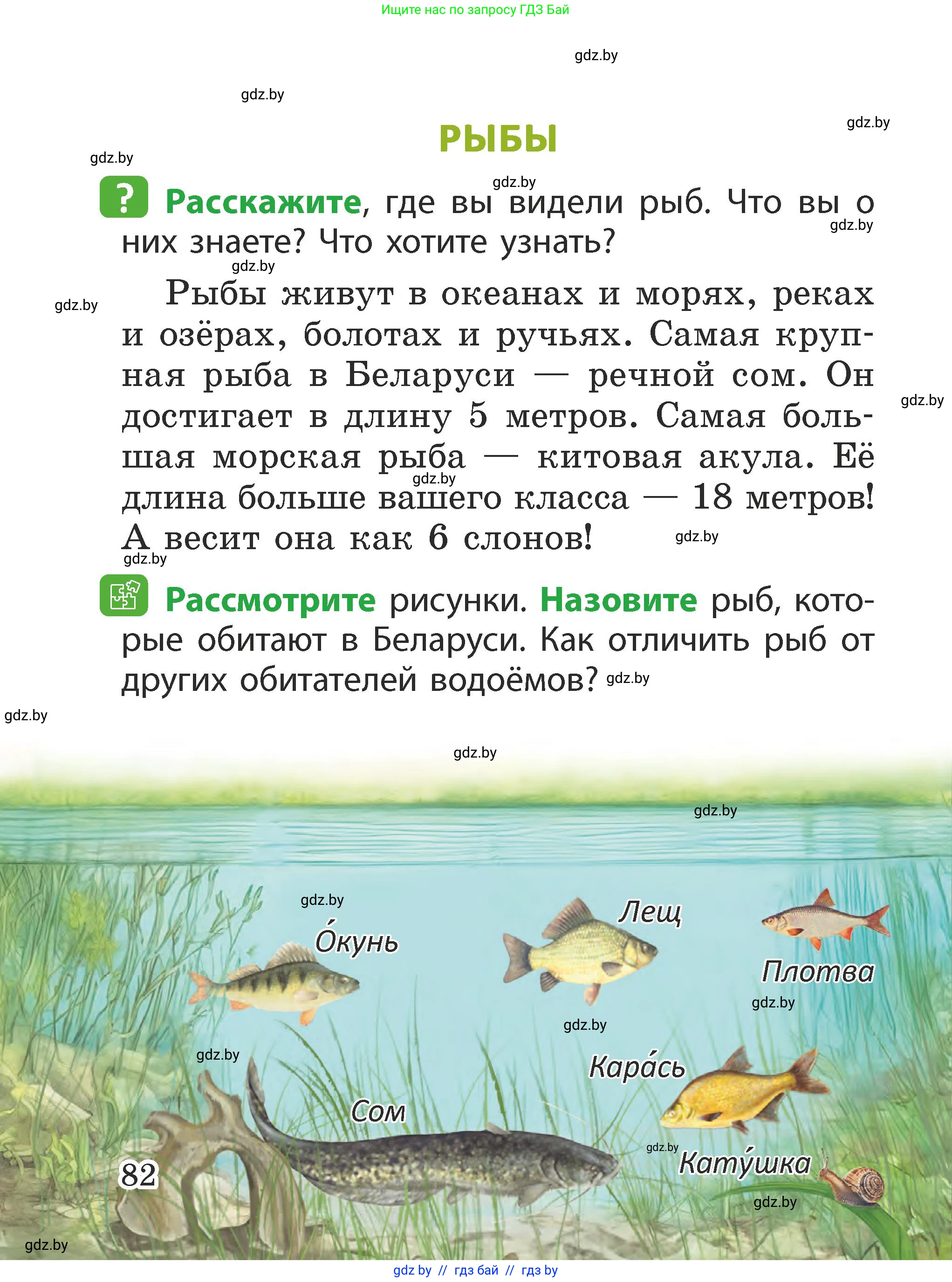 Человек и мир, 2 класс Учебник, авторы: Трафимова Галина Владимировна, Трафимов Сергей Анатольевич, издательство Академия образования, Минск, 2024, страница 82
