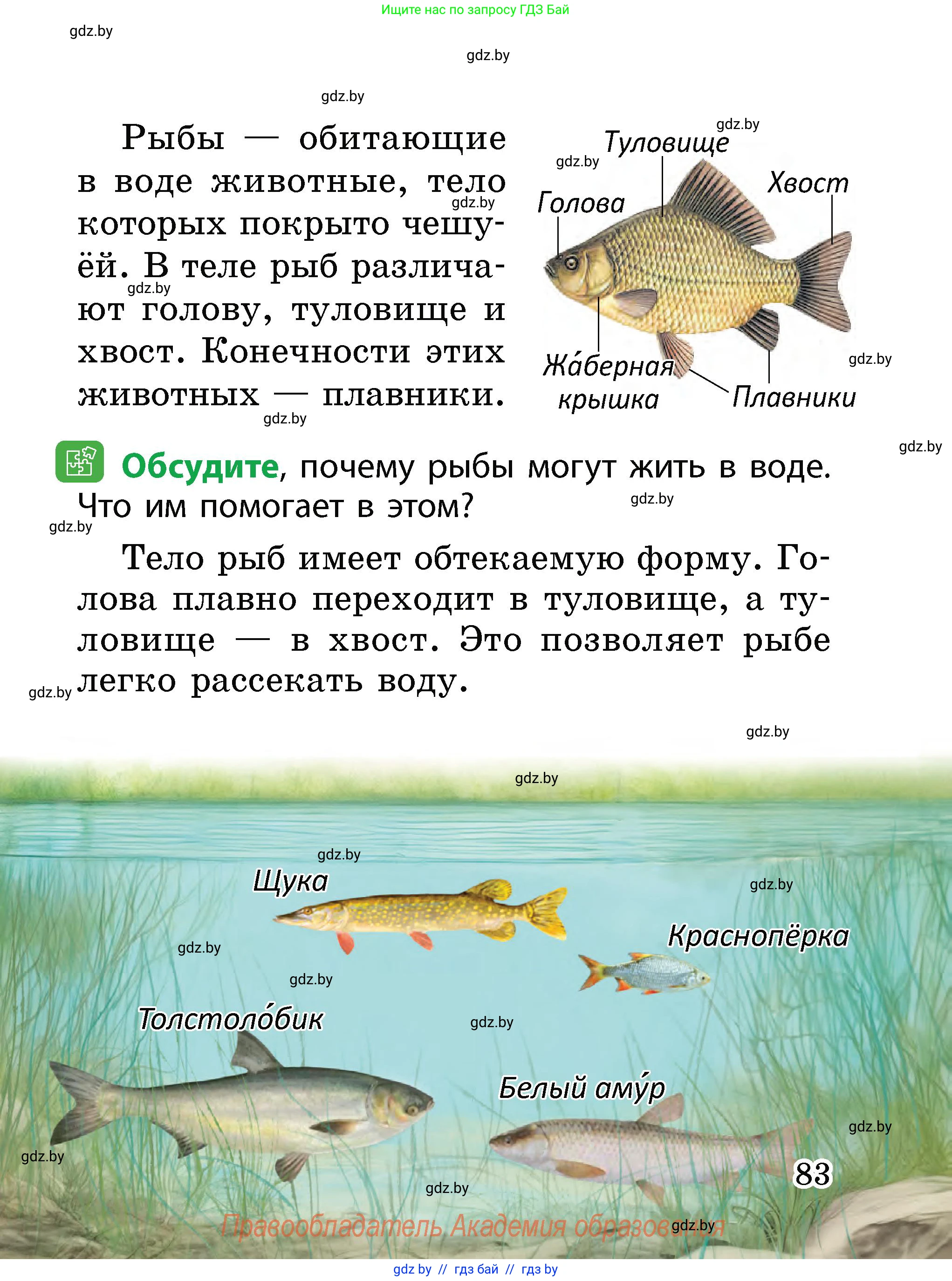 Человек и мир, 2 класс Учебник, авторы: Трафимова Галина Владимировна, Трафимов Сергей Анатольевич, издательство Академия образования, Минск, 2024, страница 83