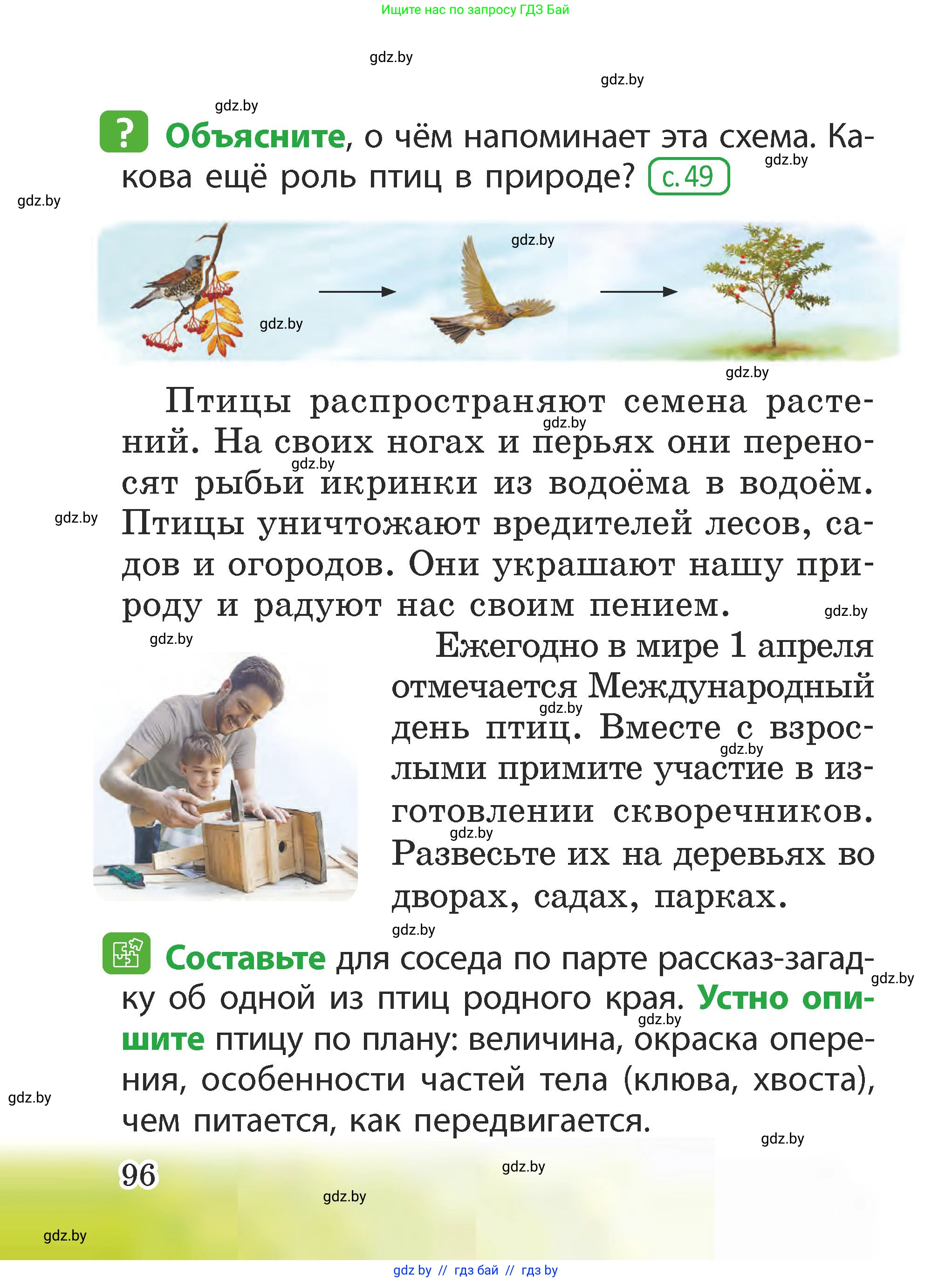 Человек и мир, 2 класс Учебник, авторы: Трафимова Галина Владимировна, Трафимов Сергей Анатольевич, издательство Академия образования, Минск, 2024, страница 96