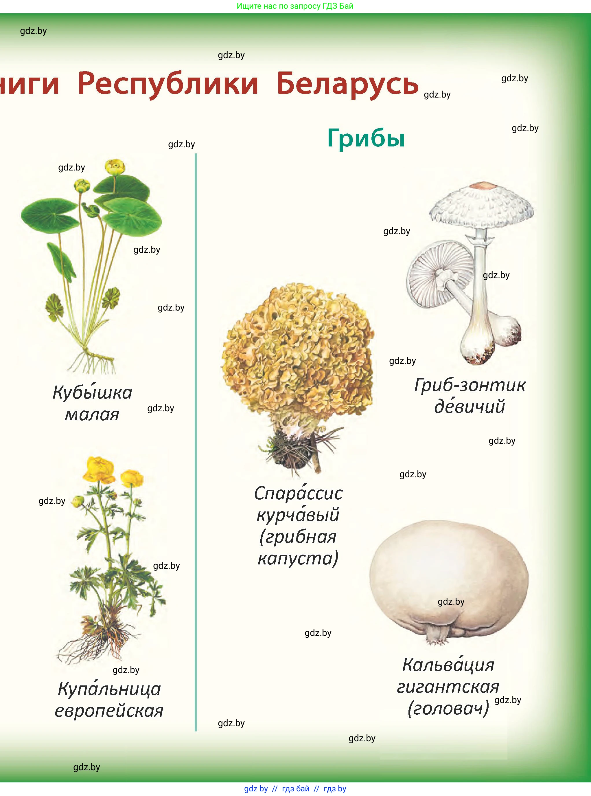 Человек и мир, 2 класс Учебник, авторы: Трафимова Галина Владимировна, Трафимов Сергей Анатольевич, издательство Академия образования, Минск, 2024, 