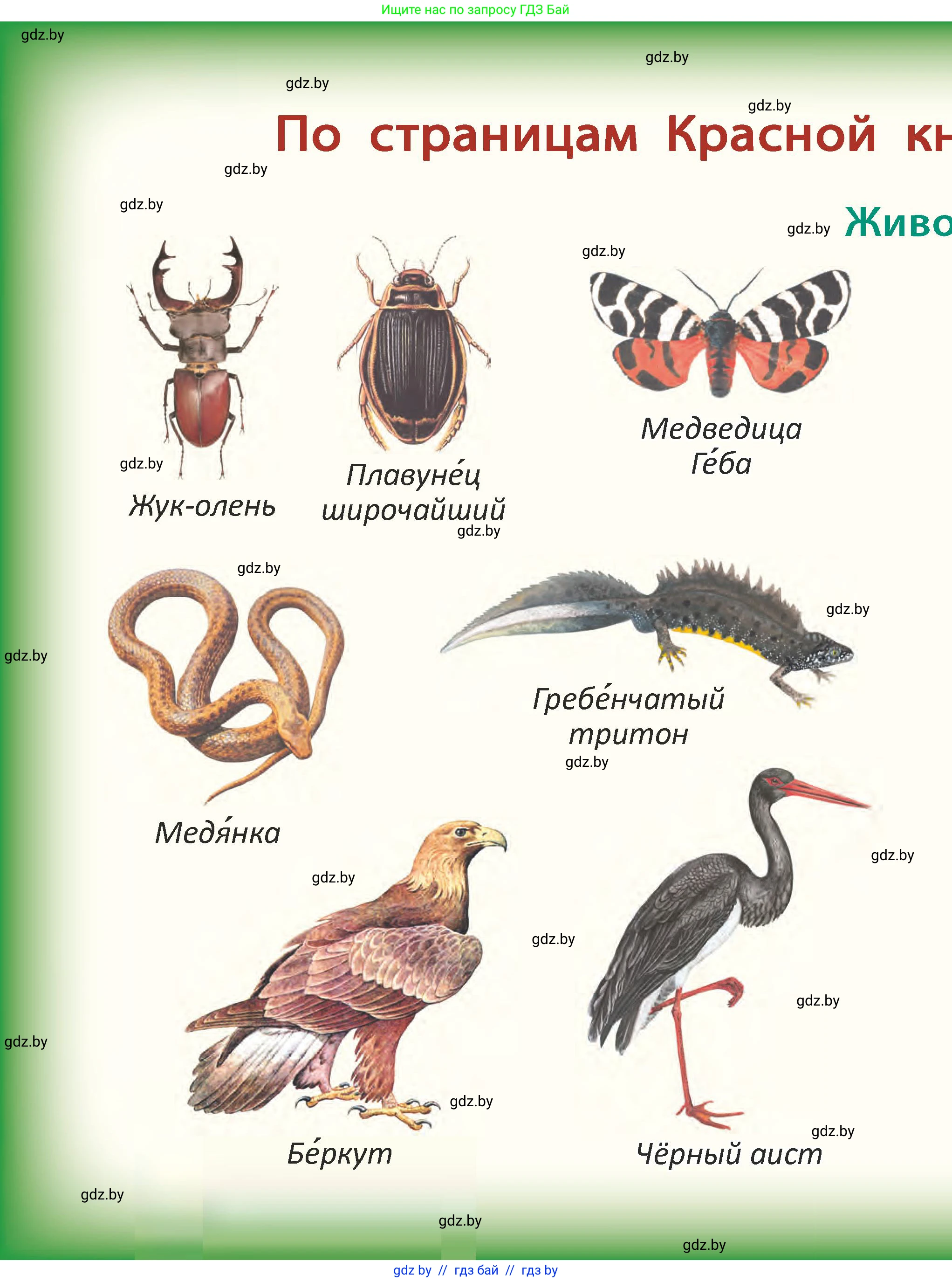 Человек и мир, 2 класс Учебник, авторы: Трафимова Галина Владимировна, Трафимов Сергей Анатольевич, издательство Академия образования, Минск, 2024, 