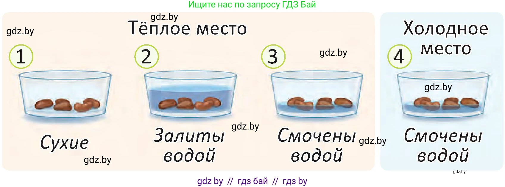 Человек и мир, 2 класс Учебник, авторы: Трафимова Галина Владимировна, Трафимов Сергей Анатольевич, издательство Академия образования, Минск, 2024, страница 40, номер 2, Условие (продолжение 2)