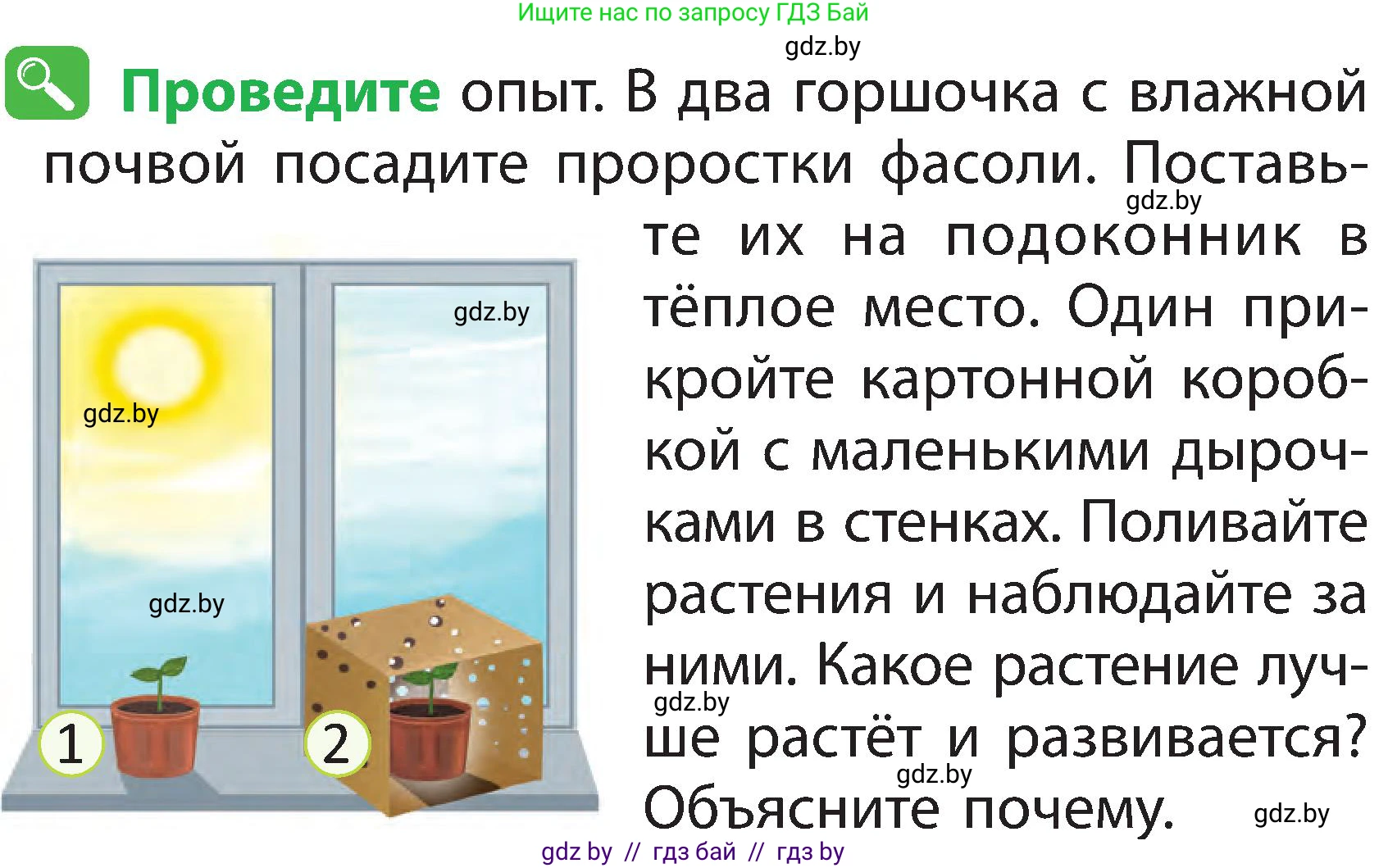 Человек и мир, 2 класс Учебник, авторы: Трафимова Галина Владимировна, Трафимов Сергей Анатольевич, издательство Академия образования, Минск, 2024, страница 42, номер 4, Условие
