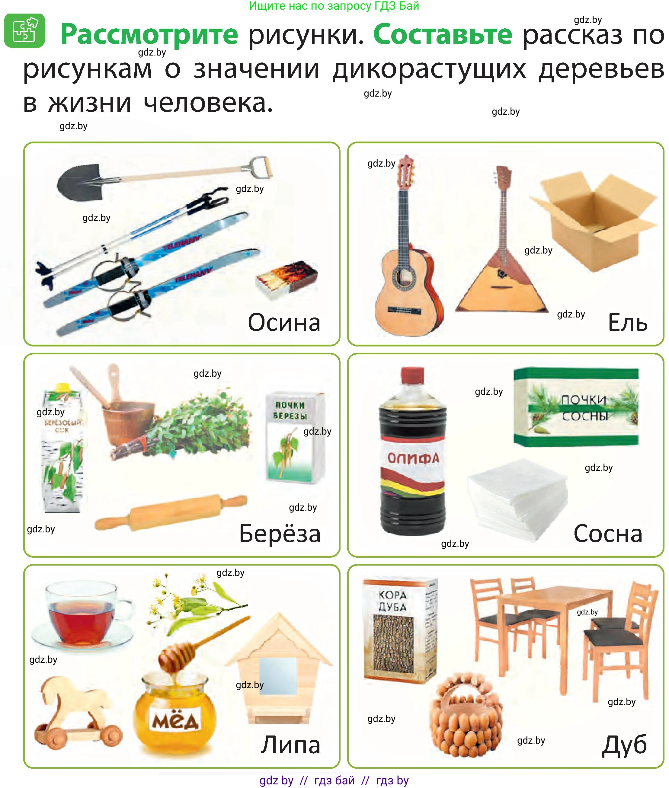 Человек и мир, 2 класс Учебник, авторы: Трафимова Галина Владимировна, Трафимов Сергей Анатольевич, издательство Академия образования, Минск, 2024, страница 47, номер 7, Условие