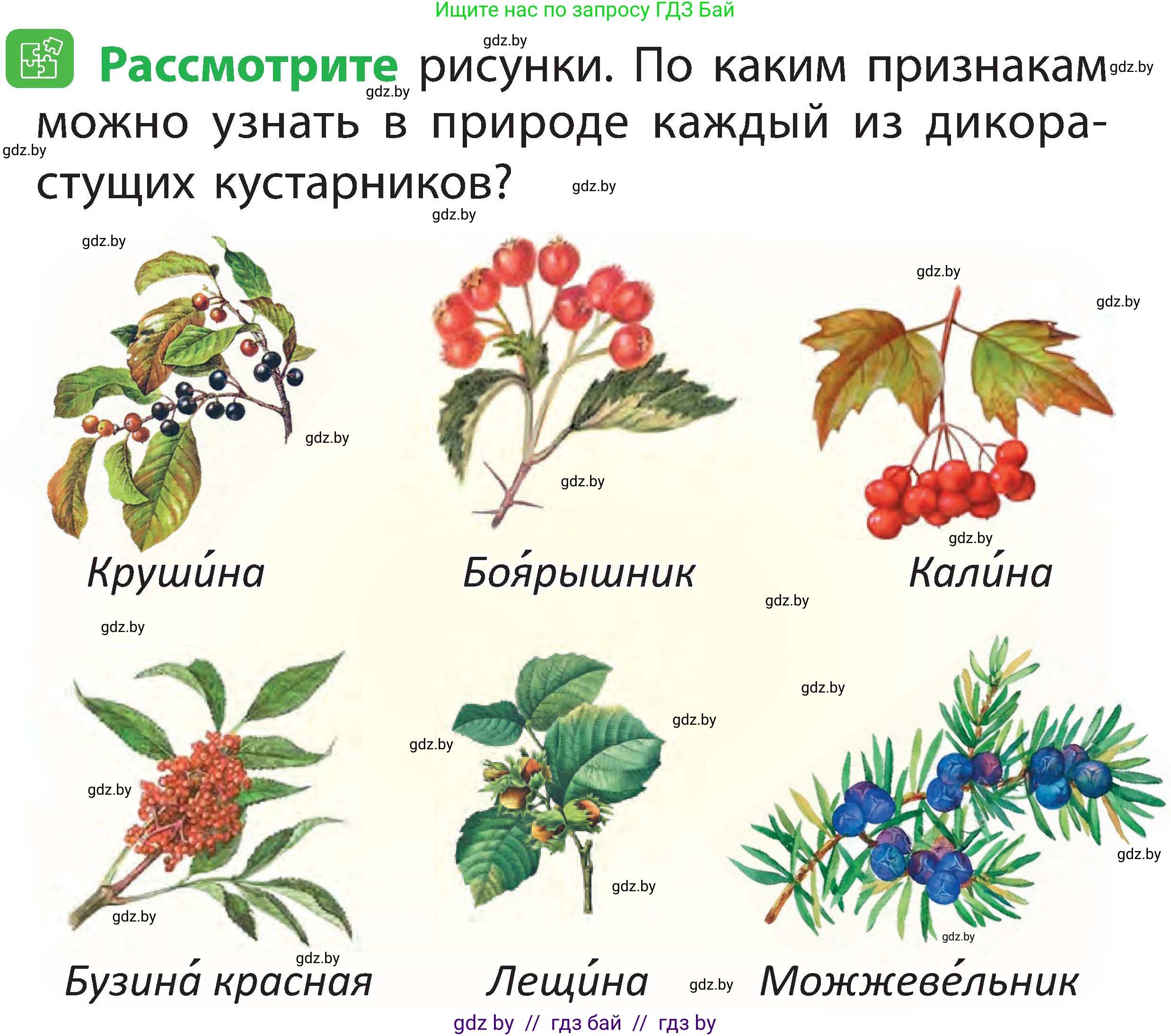 Человек и мир, 2 класс Учебник, авторы: Трафимова Галина Владимировна, Трафимов Сергей Анатольевич, издательство Академия образования, Минск, 2024, страница 50, номер 2, Условие