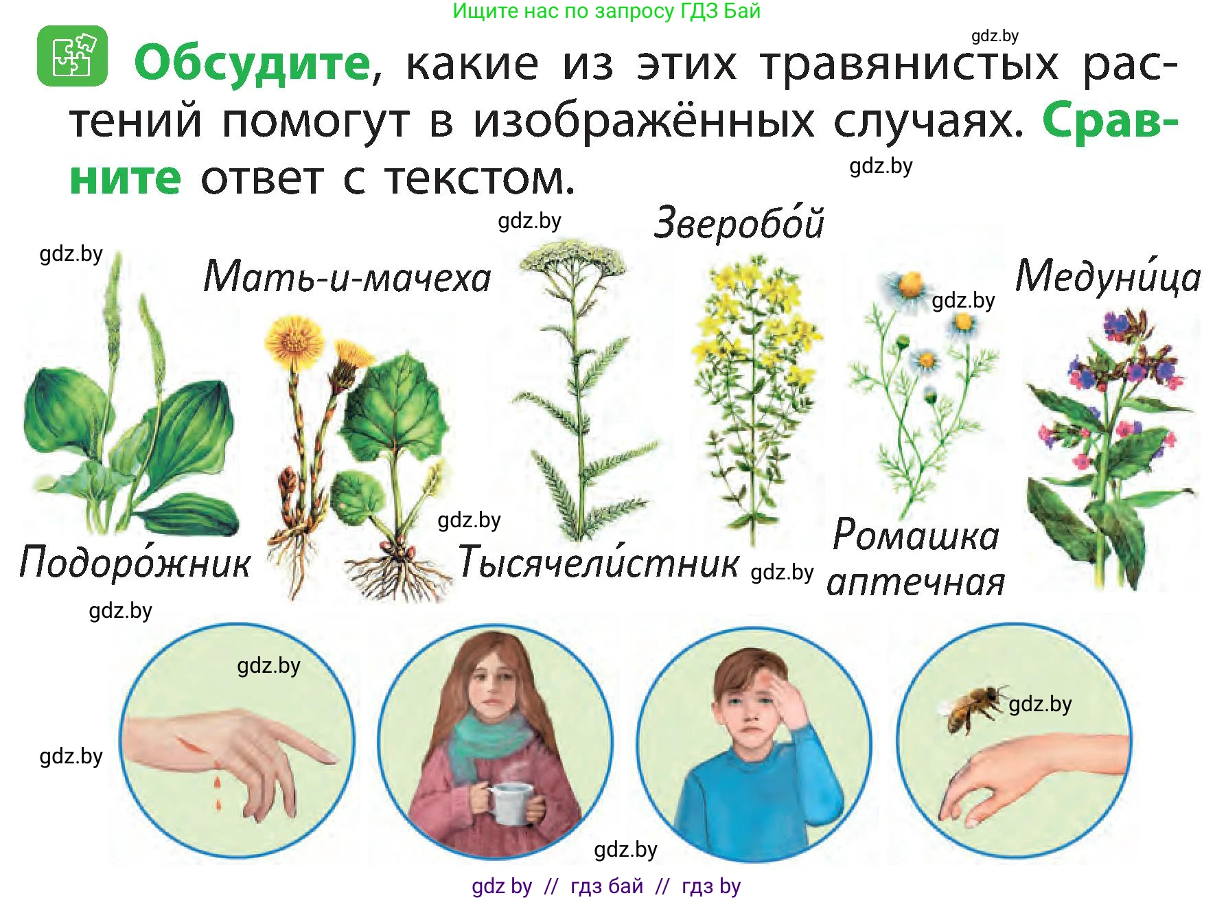 Человек и мир, 2 класс Учебник, авторы: Трафимова Галина Владимировна, Трафимов Сергей Анатольевич, издательство Академия образования, Минск, 2024, страница 54, номер 3, Условие