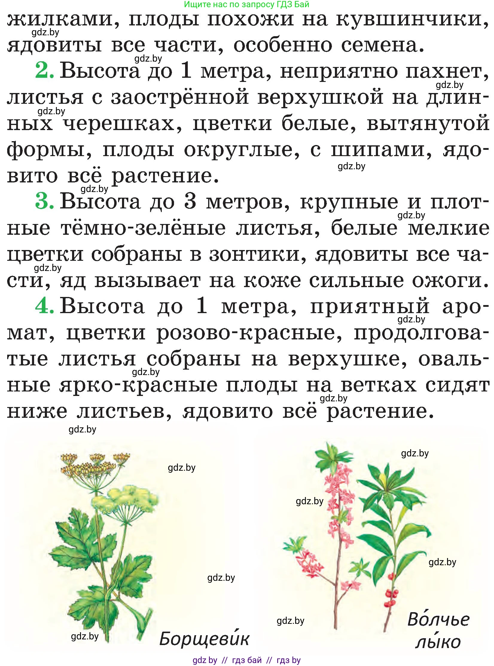 Человек и мир, 2 класс Учебник, авторы: Трафимова Галина Владимировна, Трафимов Сергей Анатольевич, издательство Академия образования, Минск, 2024, страница 56, номер 2, Условие (продолжение 2)