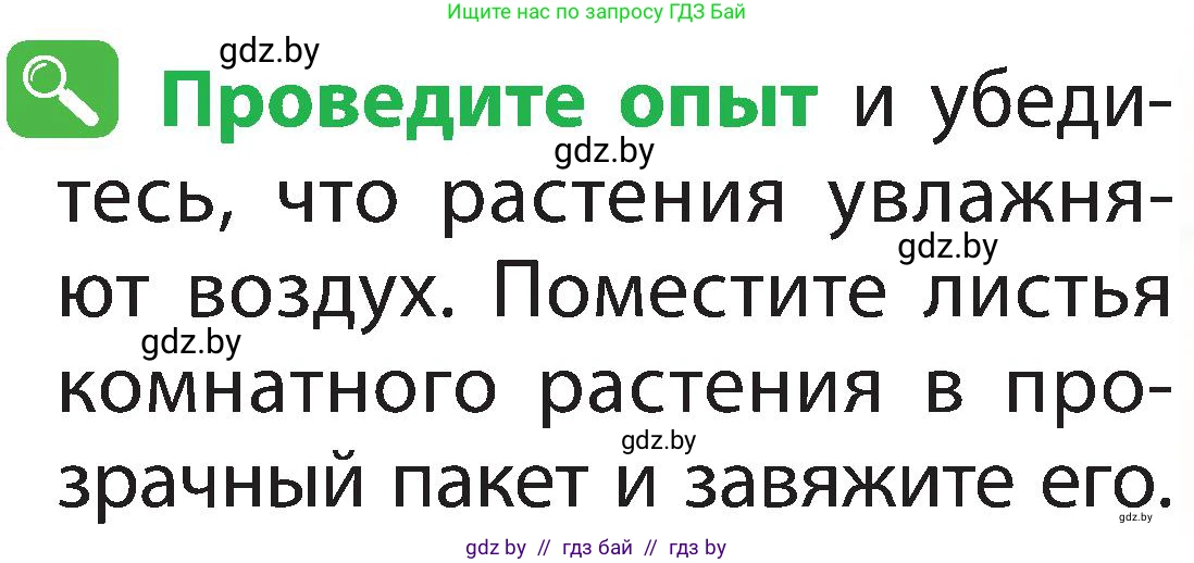 Человек и мир, 2 класс Учебник, авторы: Трафимова Галина Владимировна, Трафимов Сергей Анатольевич, издательство Академия образования, Минск, 2024, страница 70, номер 4, Условие