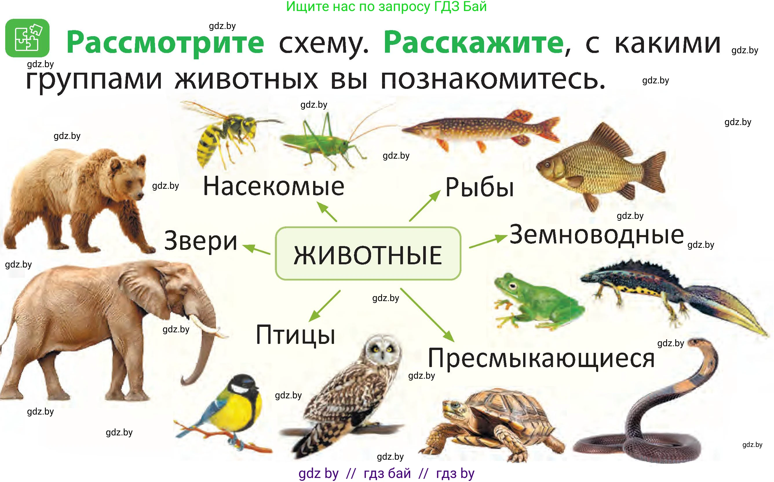 Человек и мир, 2 класс Учебник, авторы: Трафимова Галина Владимировна, Трафимов Сергей Анатольевич, издательство Академия образования, Минск, 2024, страница 77, номер 2, Условие