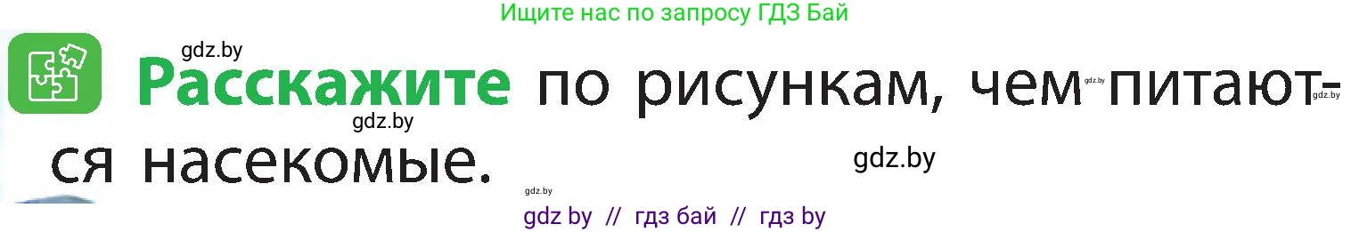Человек и мир, 2 класс Учебник, авторы: Трафимова Галина Владимировна, Трафимов Сергей Анатольевич, издательство Академия образования, Минск, 2024, страница 80, номер 5, Условие